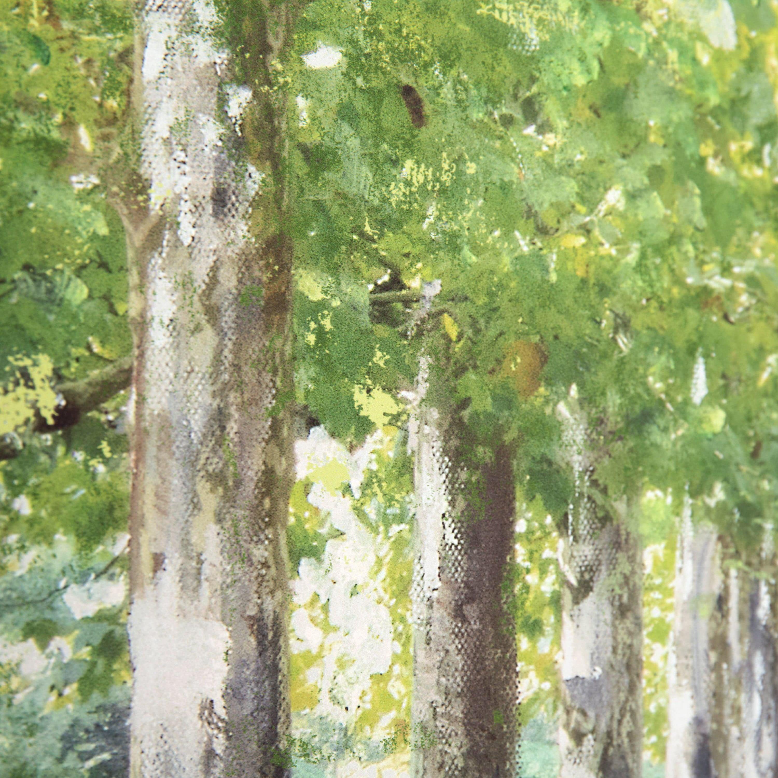 Avenue of Trees Framed Canvas - Image 4