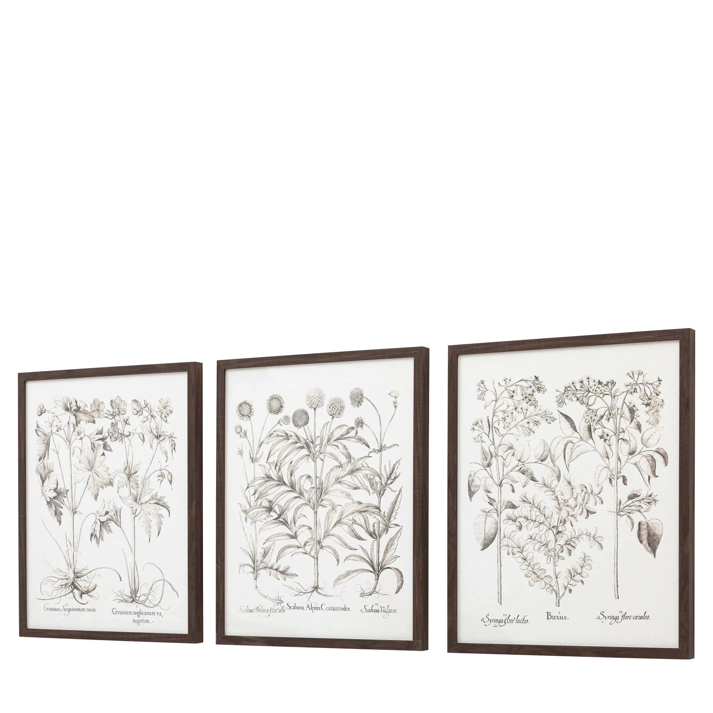Evergreen Framed Art Set of 3 - Image 6