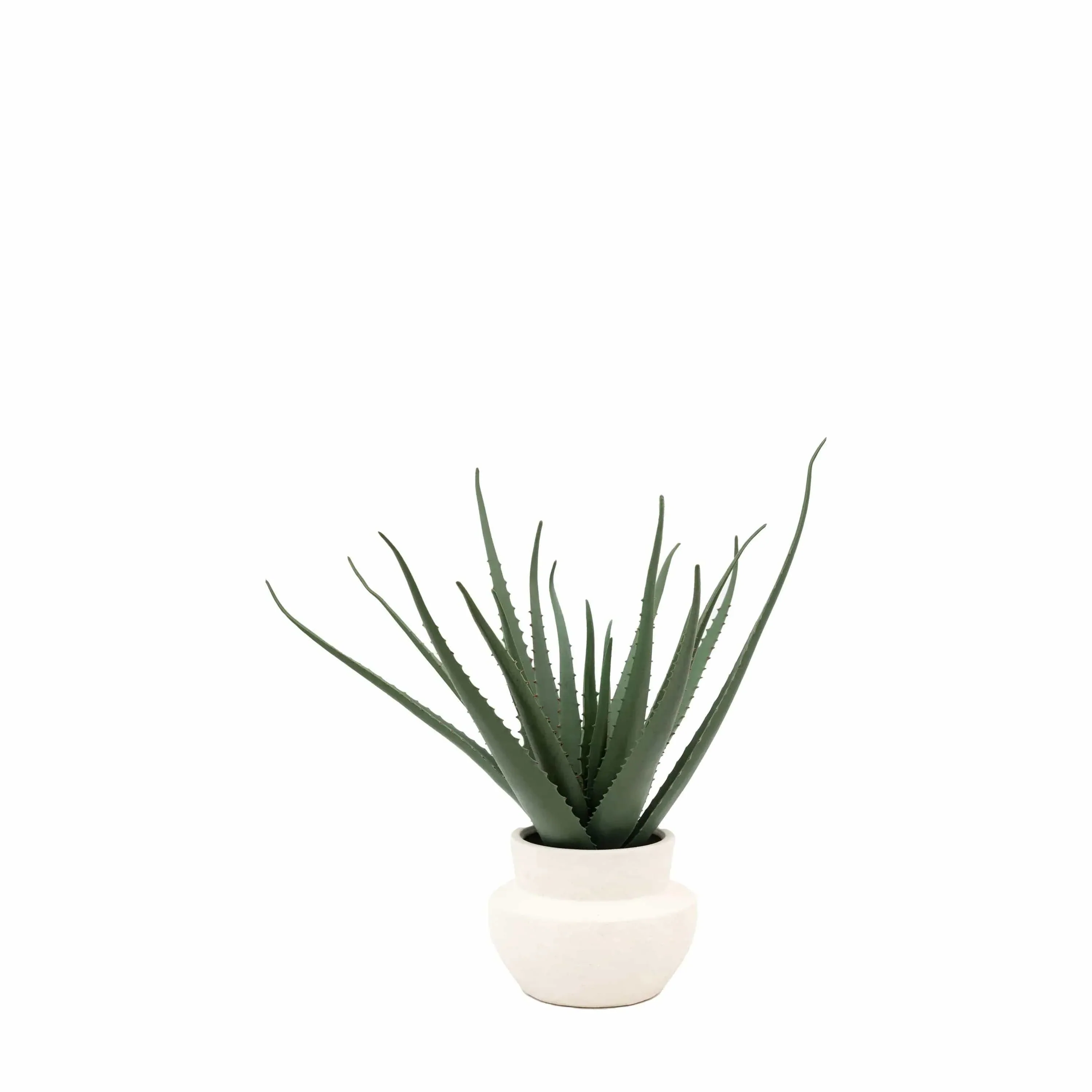 Faux Aloe Vera in Ceramic Pot - Image 2