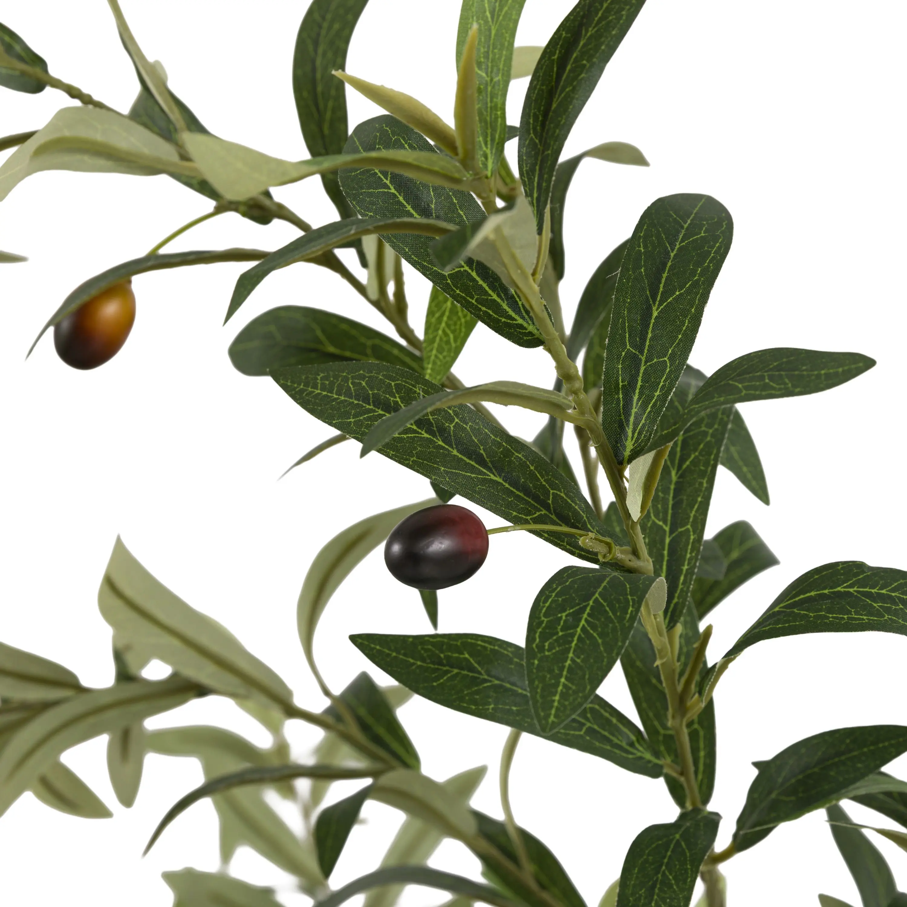 Faux Olive Tree in White Pot - Image 6
