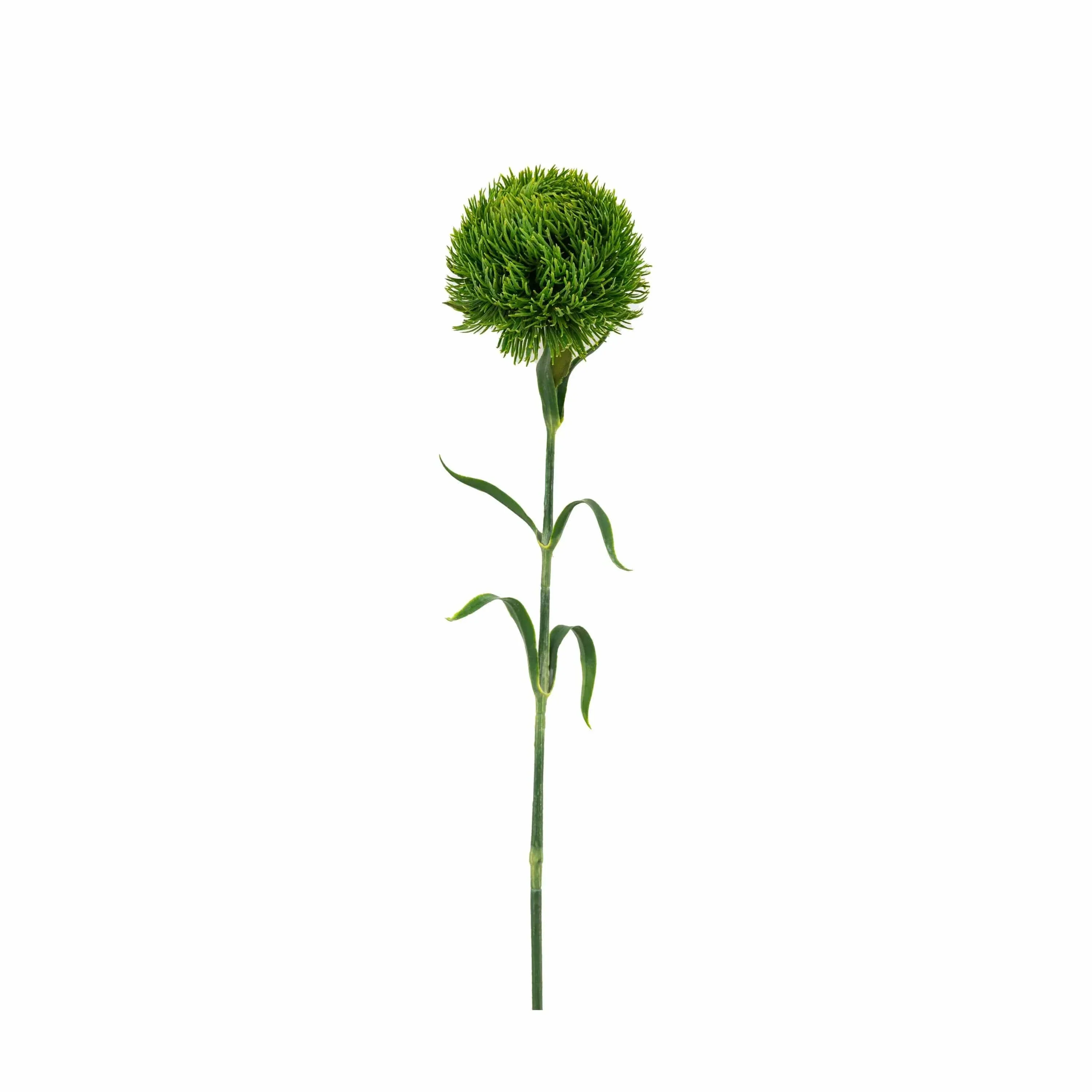 Faux Stem Statement Bloom Green 12pk - Image 3