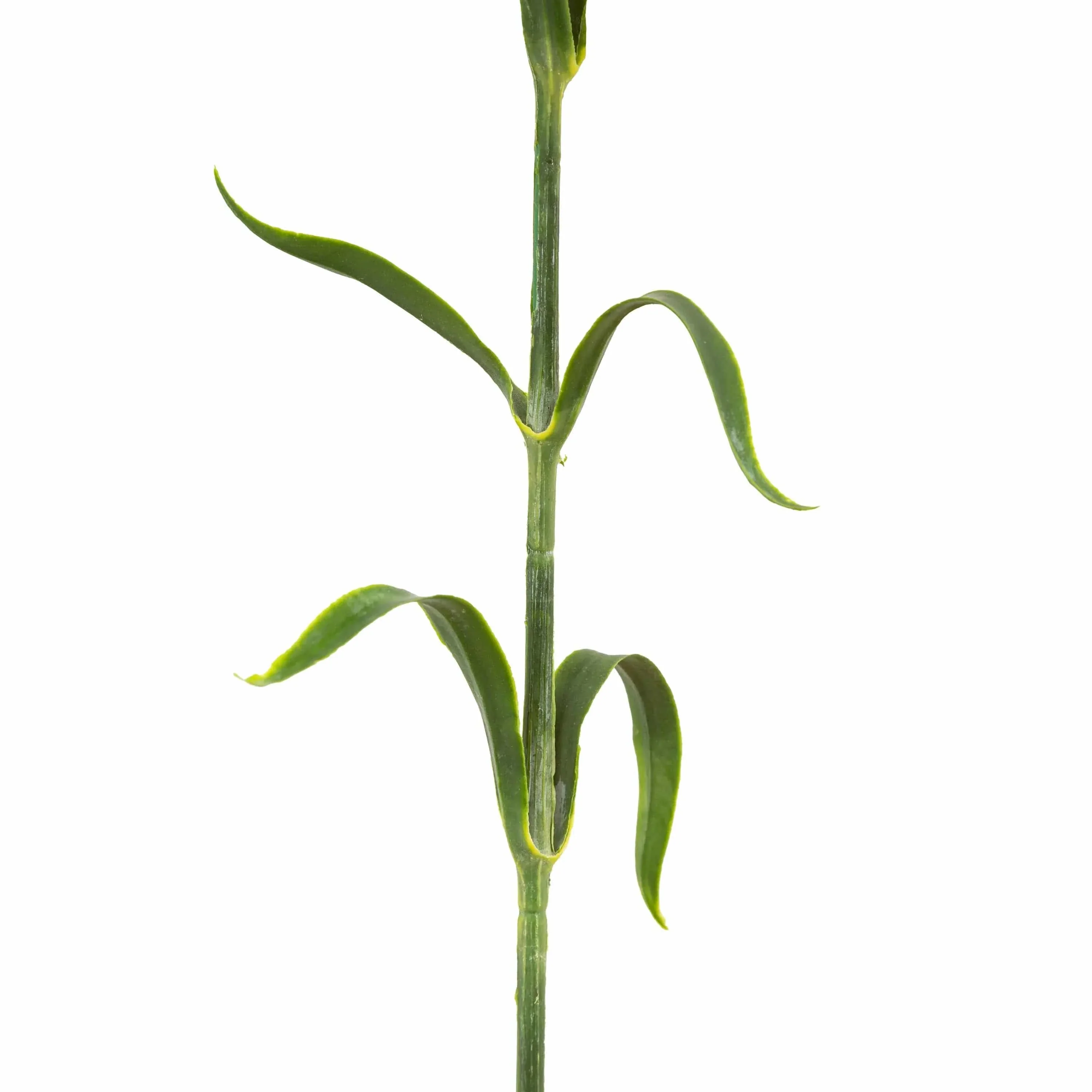 Faux Stem Statement Bloom Green 12pk - Image 4
