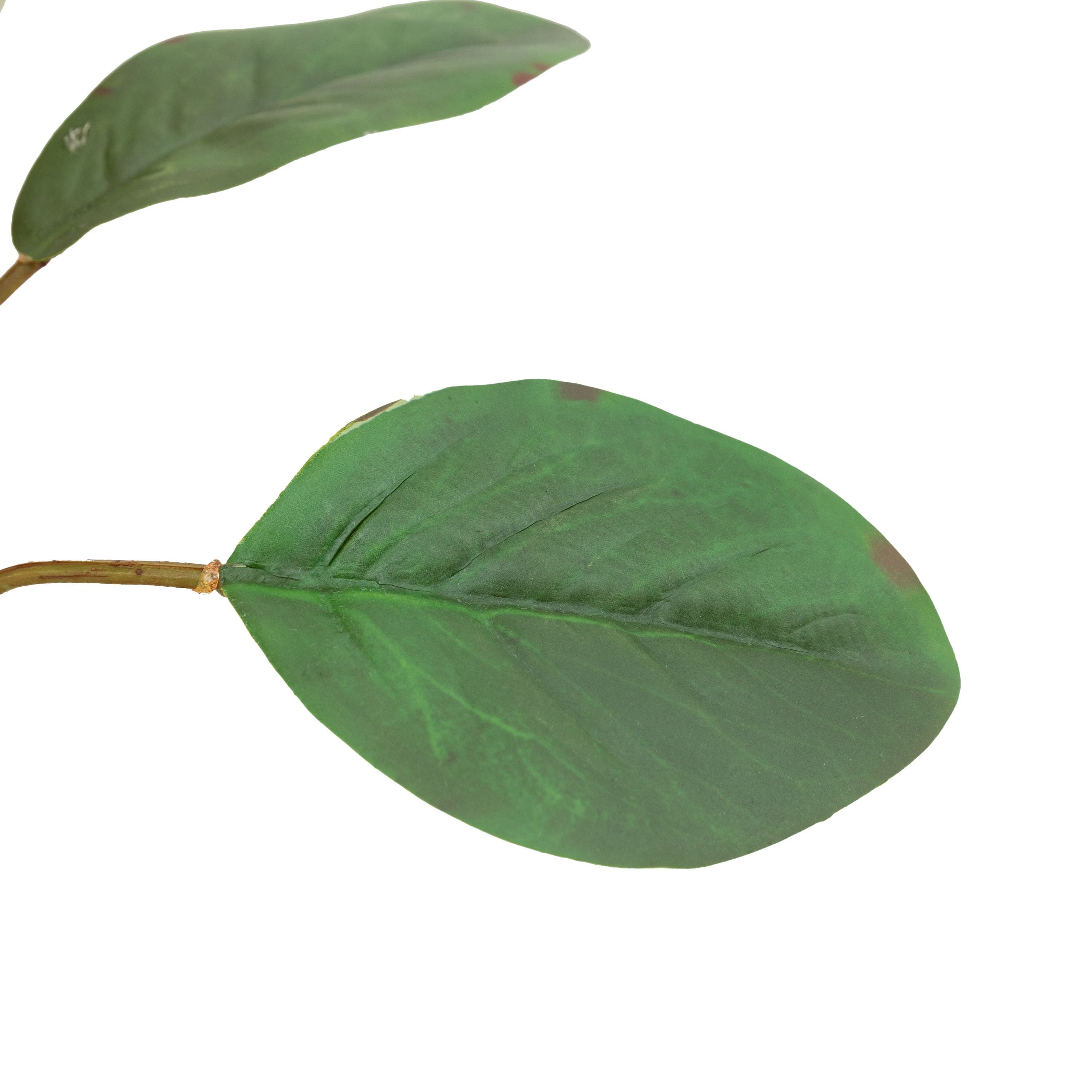 Faux Stem Statement Tropical Apricot 12pk - Image 5