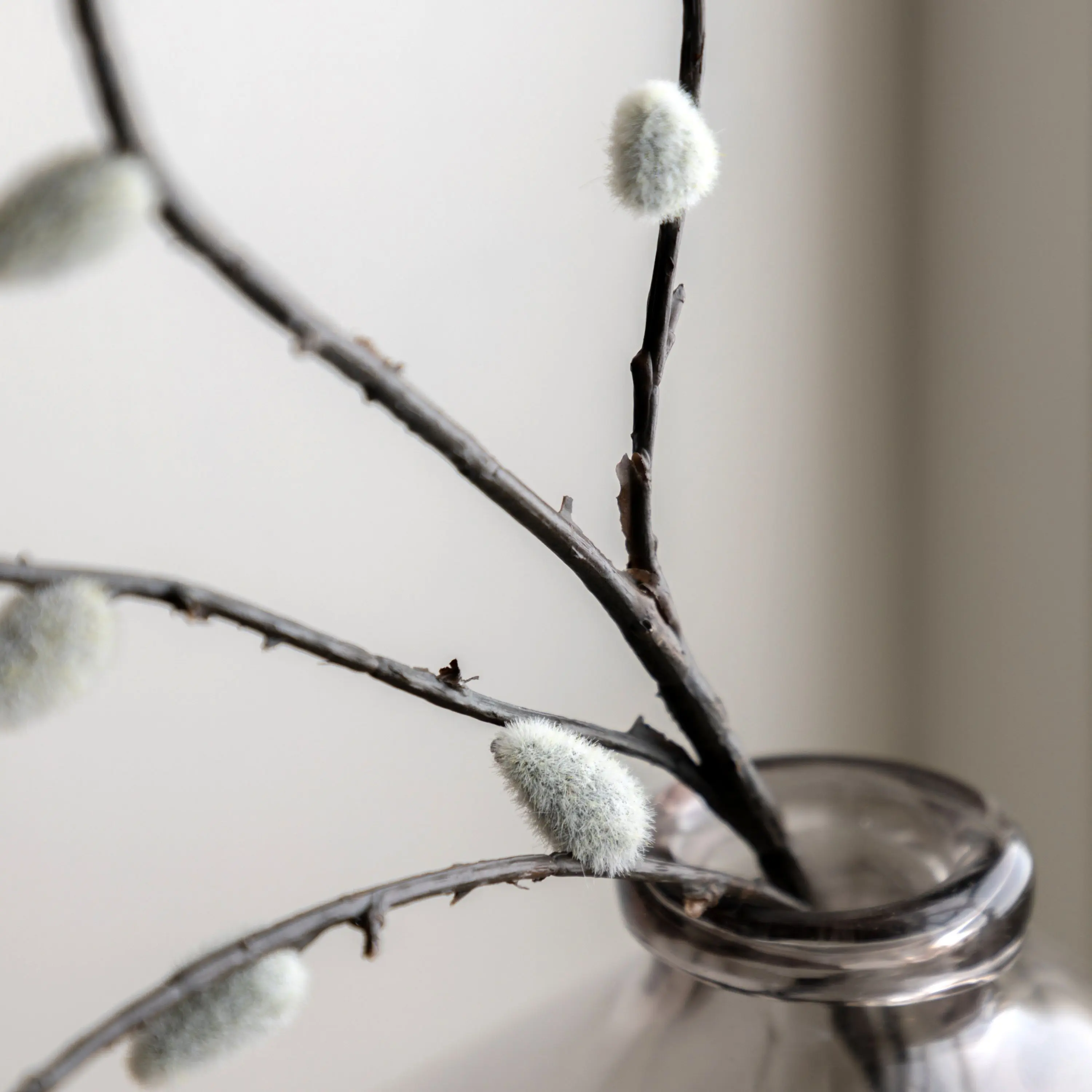 Faux Willow Stem 5pk - Image 4
