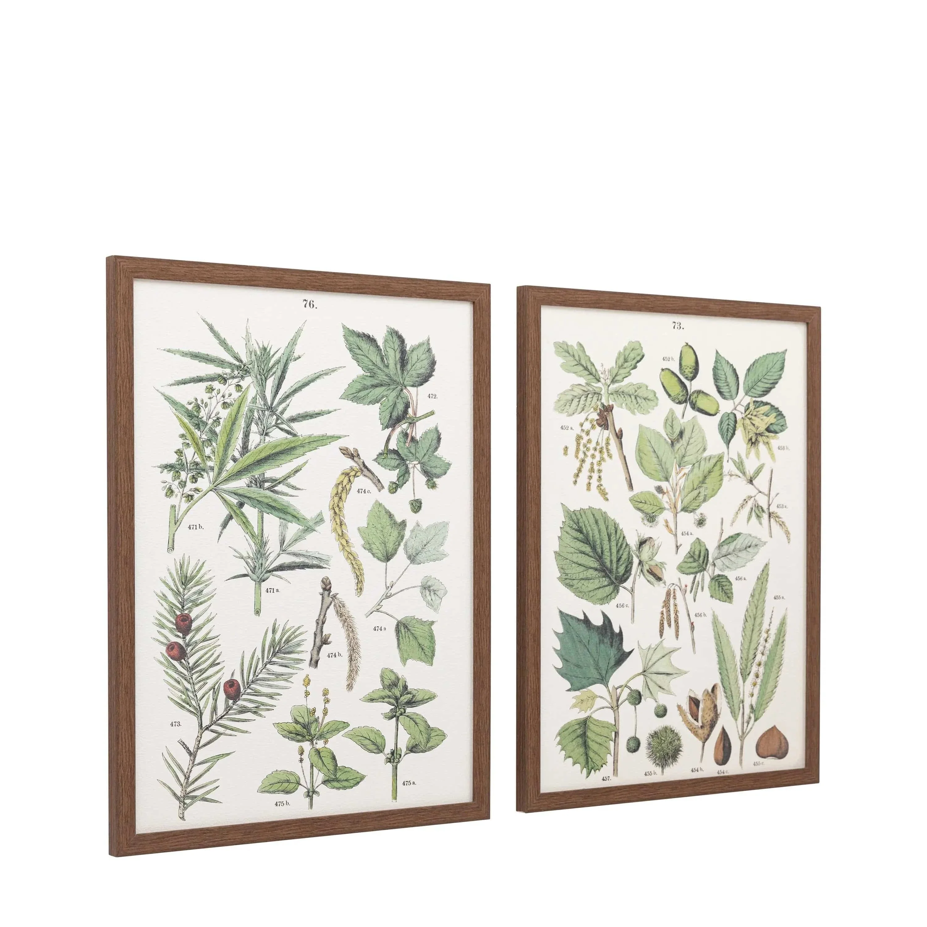 Foliage Study Framed Art Set of 2 - Image 7