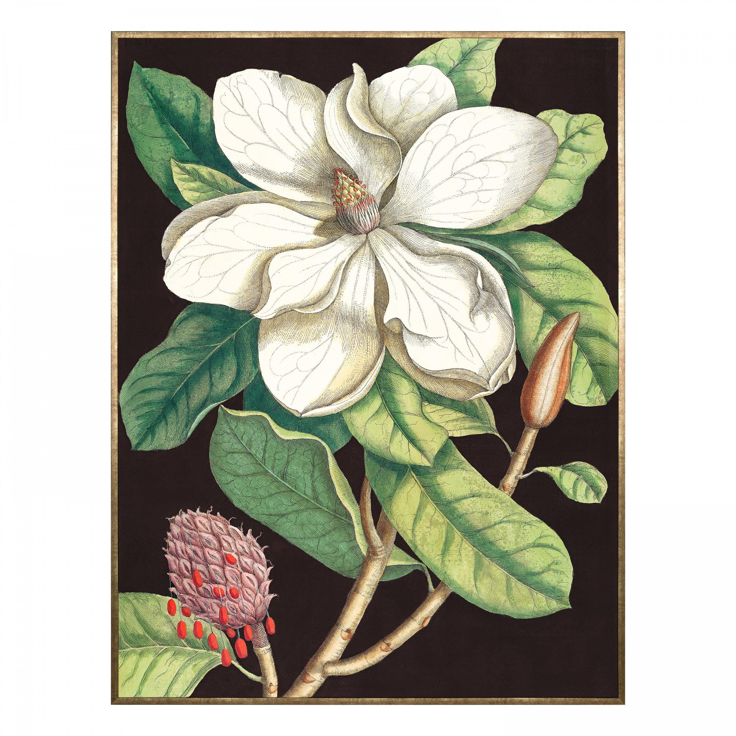 Laurel Tree Framed Canvas - Image 2