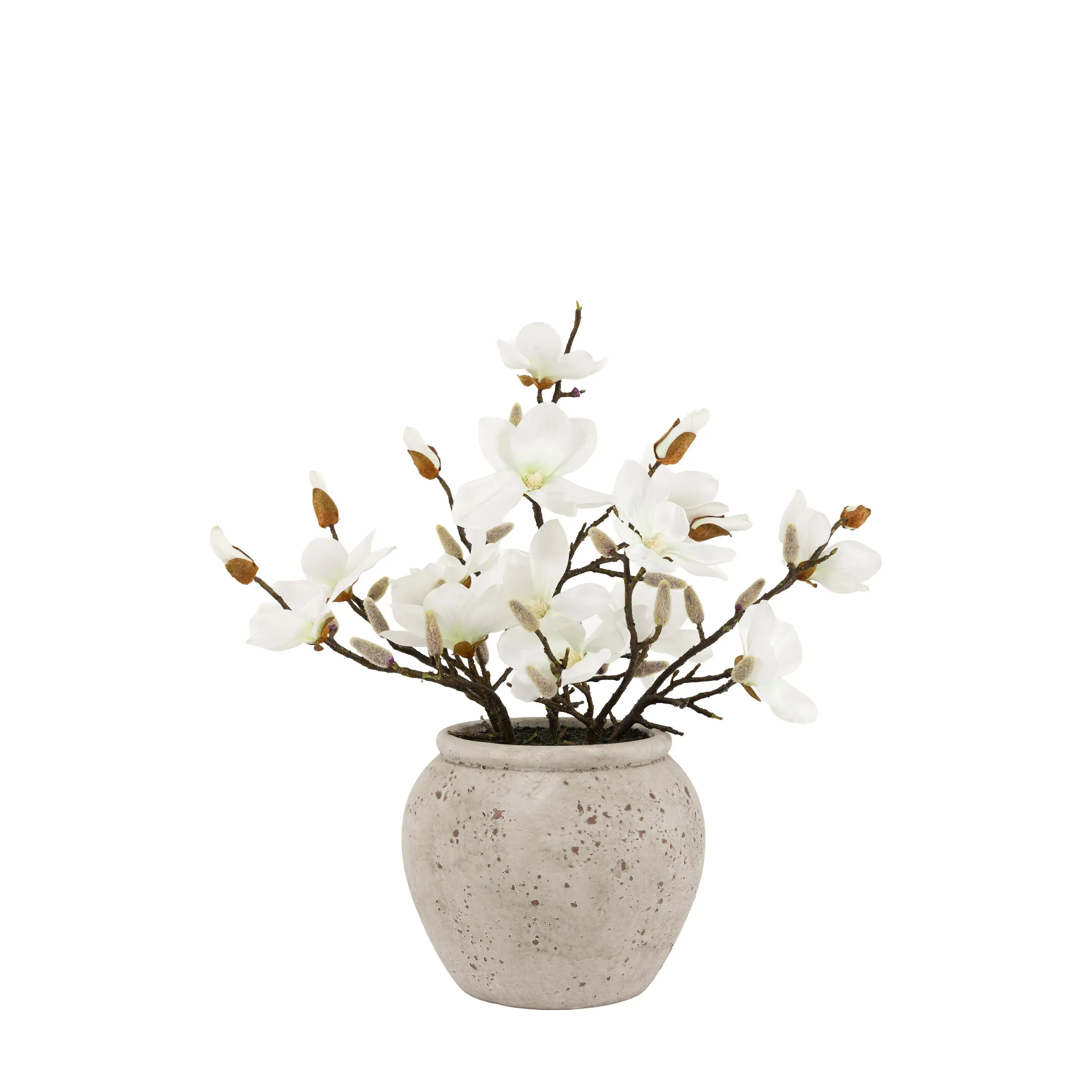 Magnolia Vase Arrangement