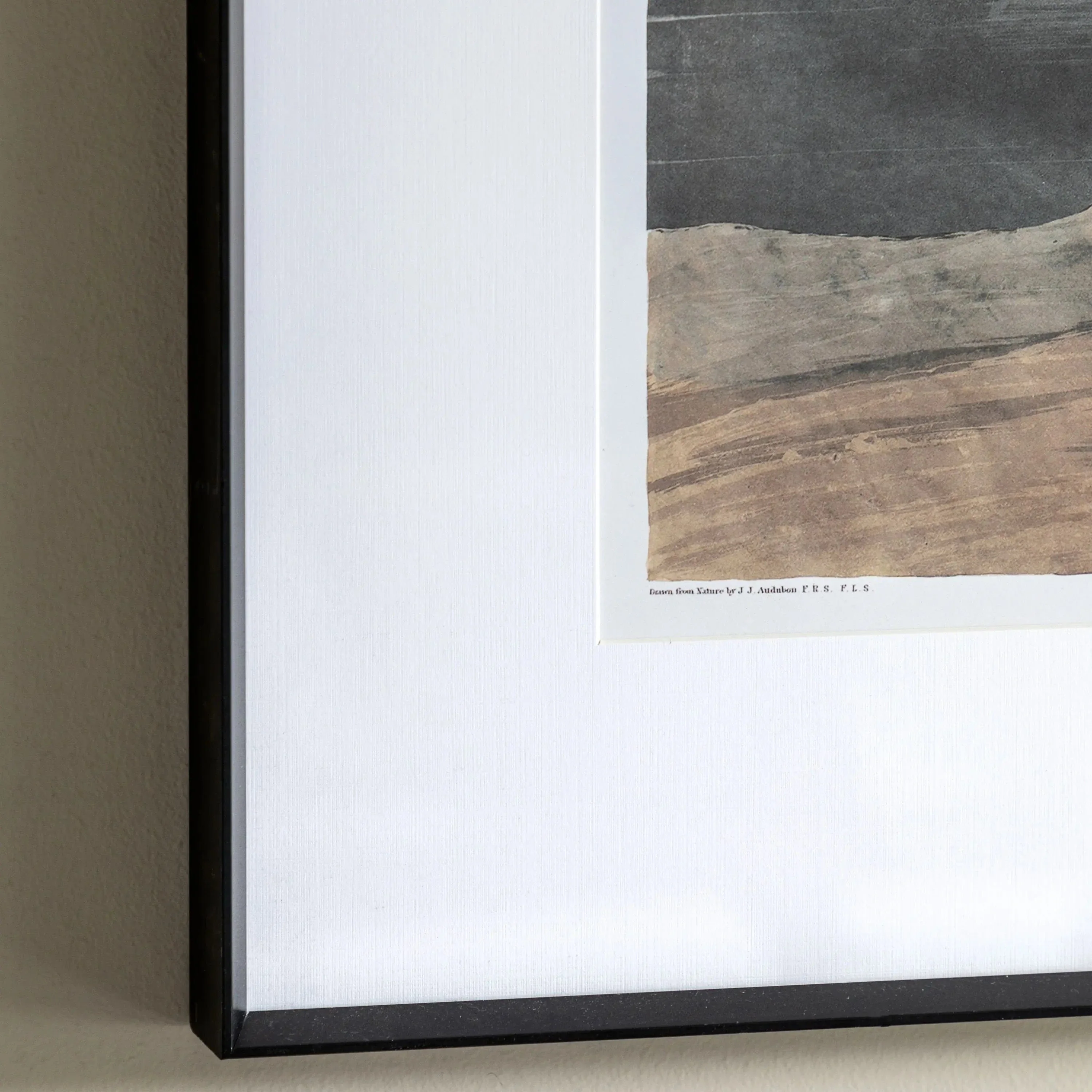Pellicano Framed Art - Image 2
