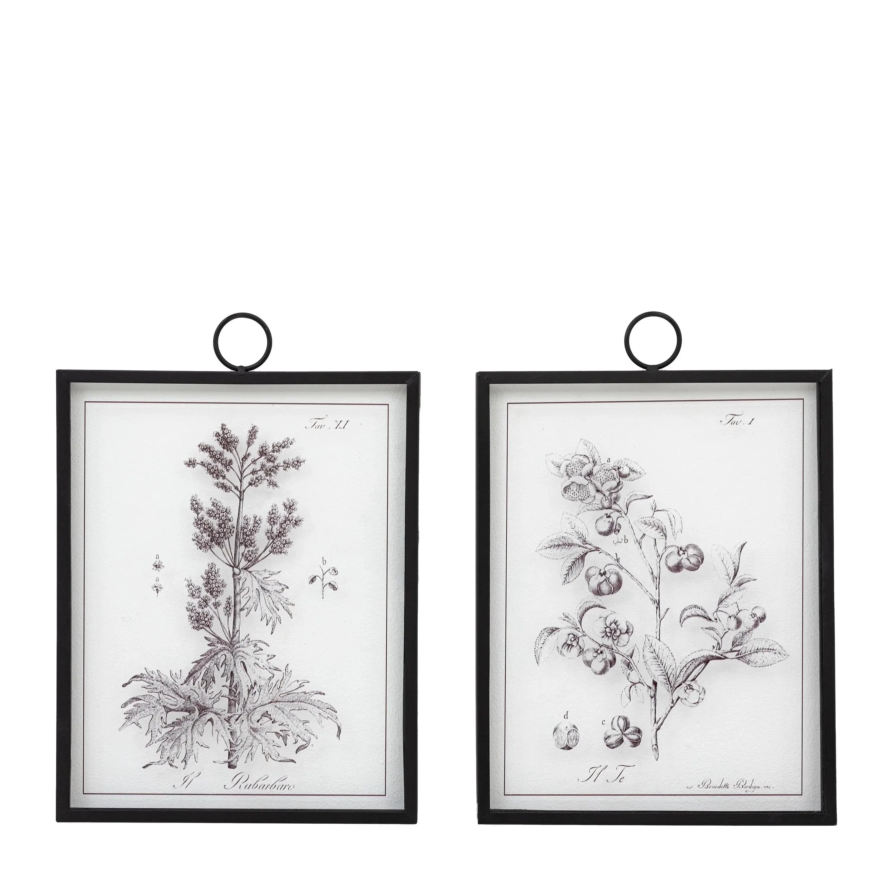 Petiole Art Set of 2 - Image 2