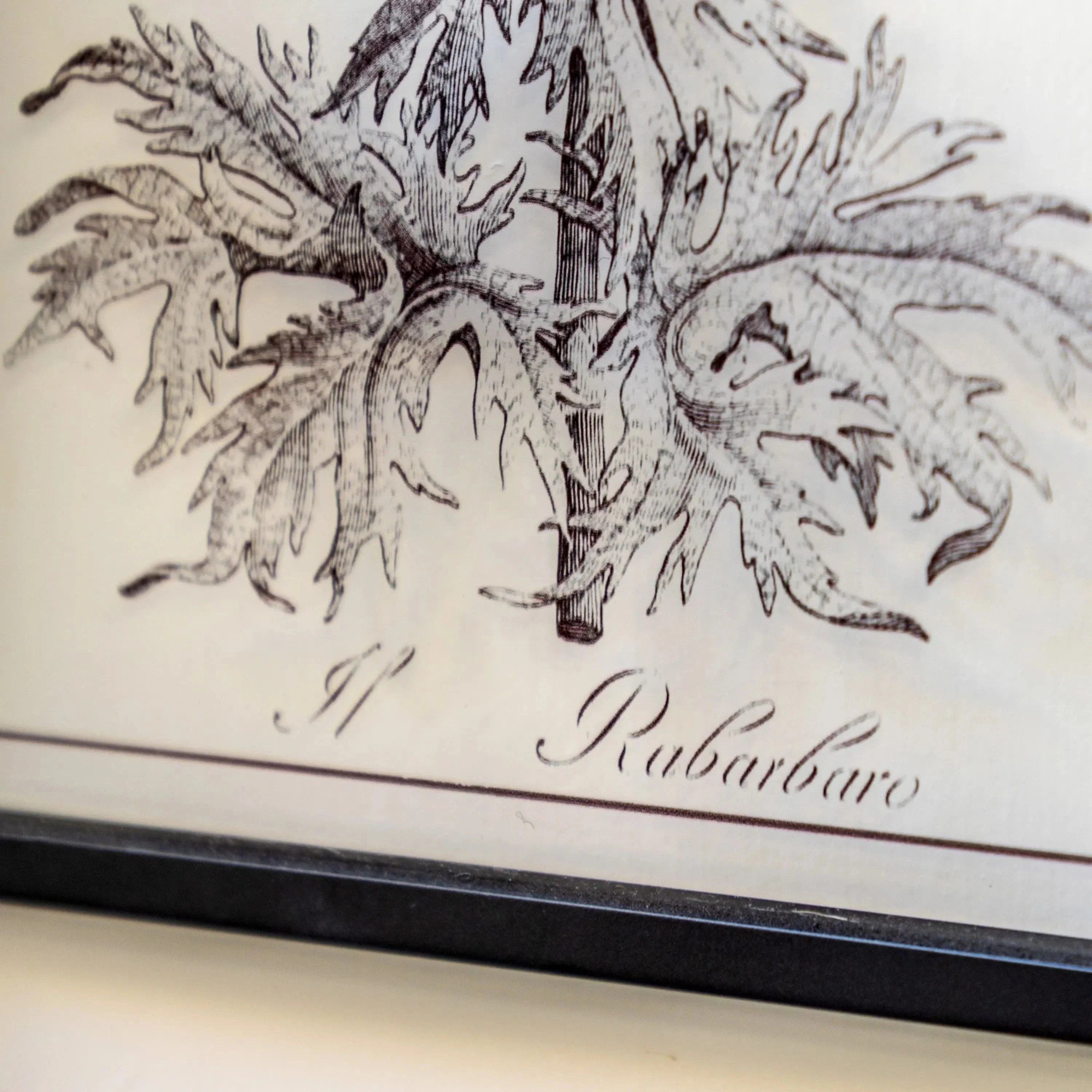 Petiole Art Set of 2 - Image 4