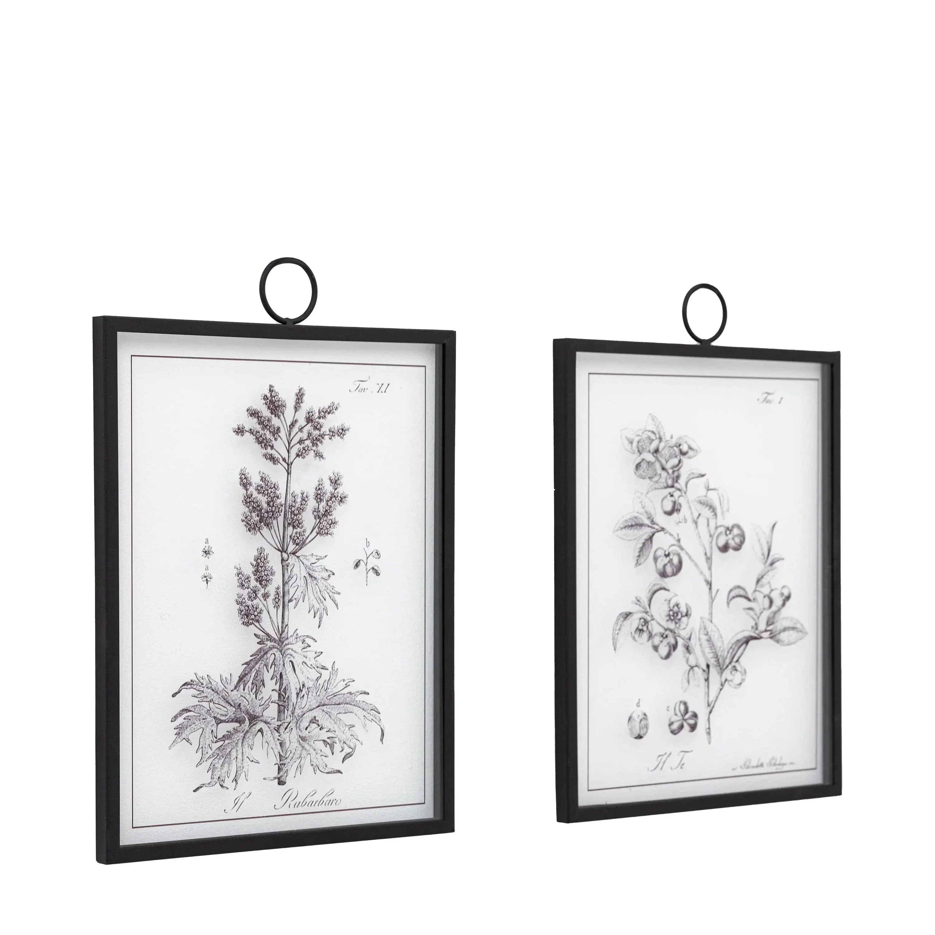 Petiole Art Set of 2 - Image 5