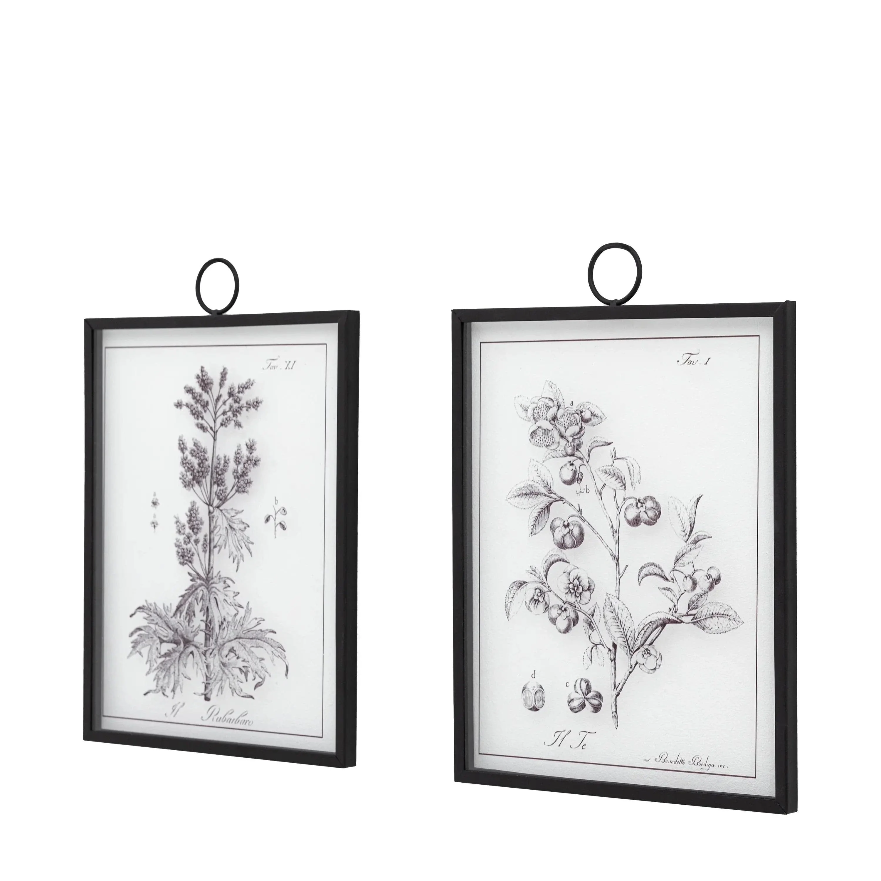 Petiole Art Set of 2 - Image 6