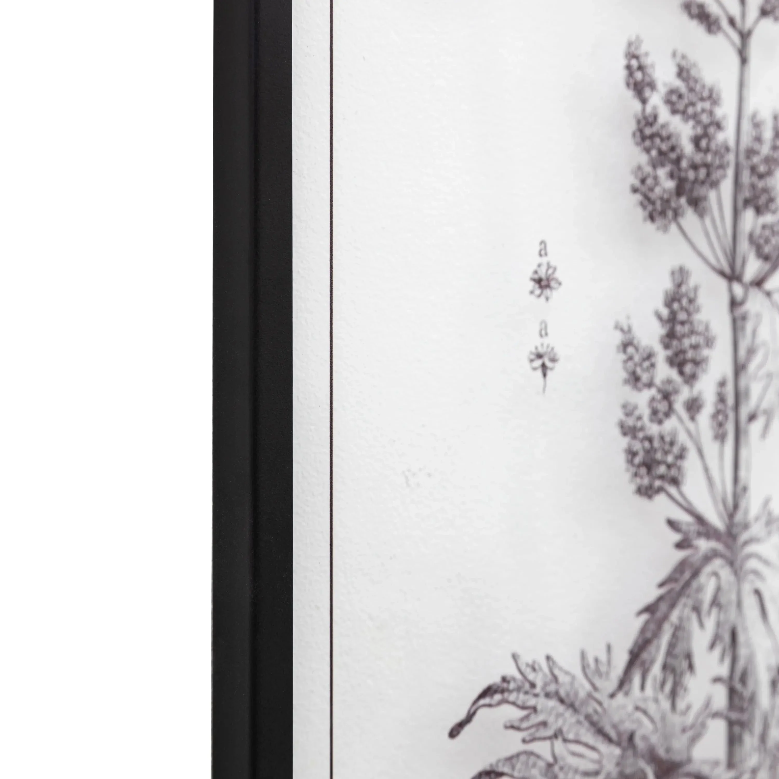 Petiole Art Set of 2 - Image 7