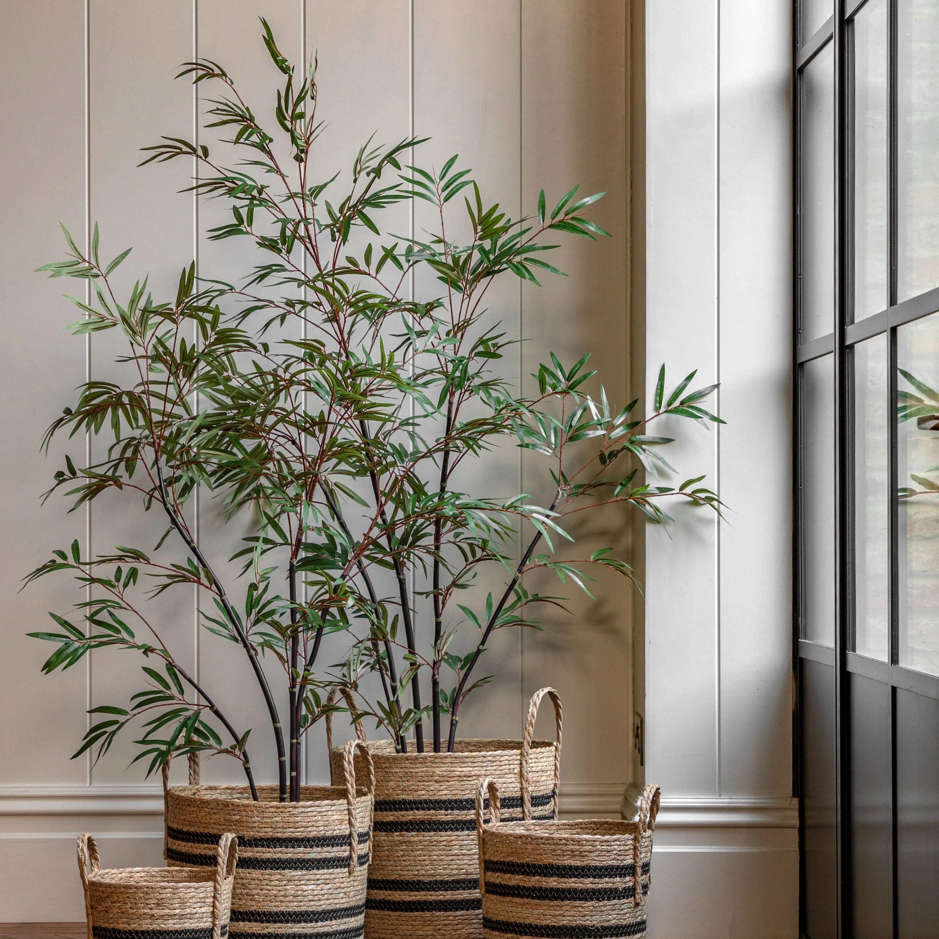 Potted Bamboo Tree Large - Image 4