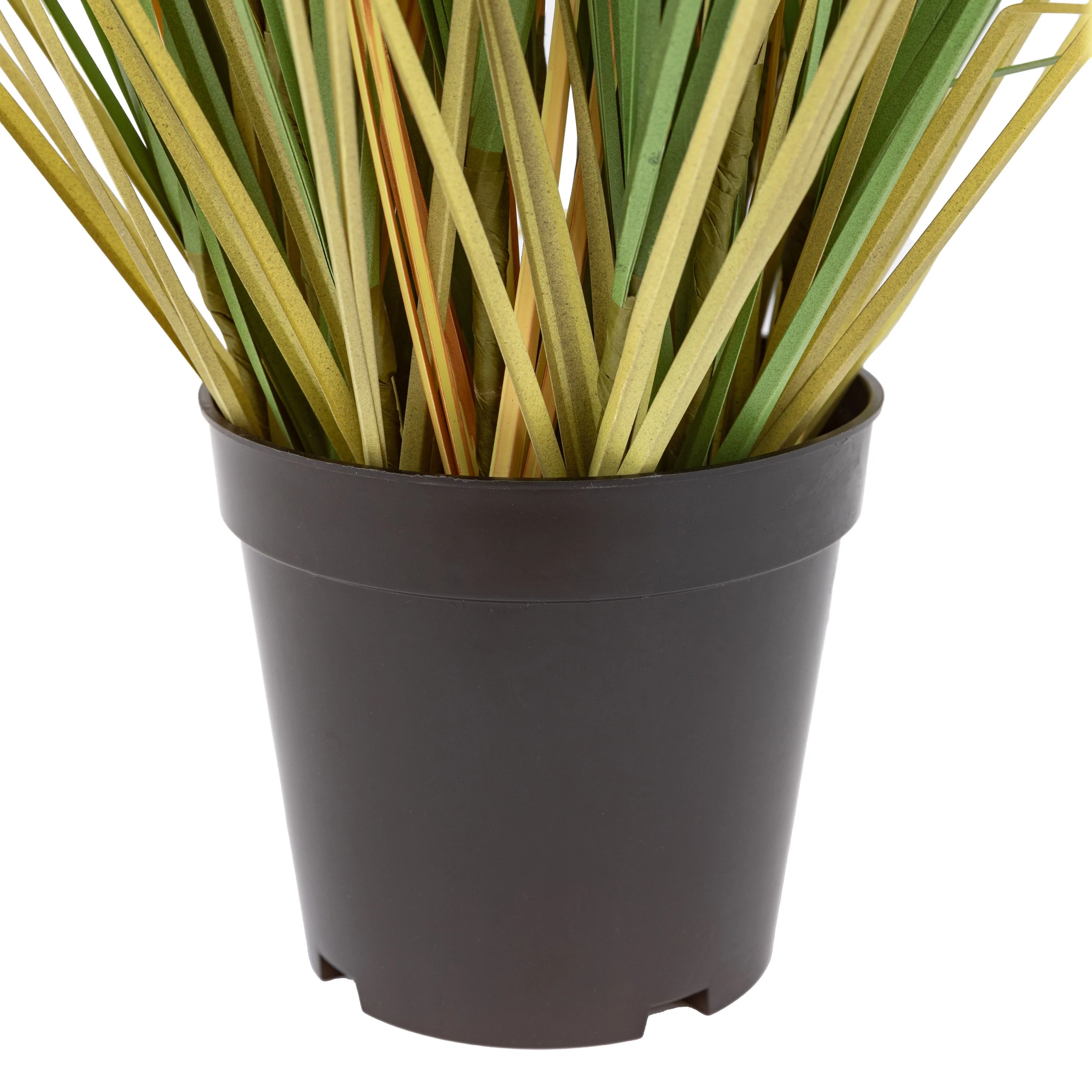 Potted Grass with Cattail Seed Heads 5pk Medium - Image 3