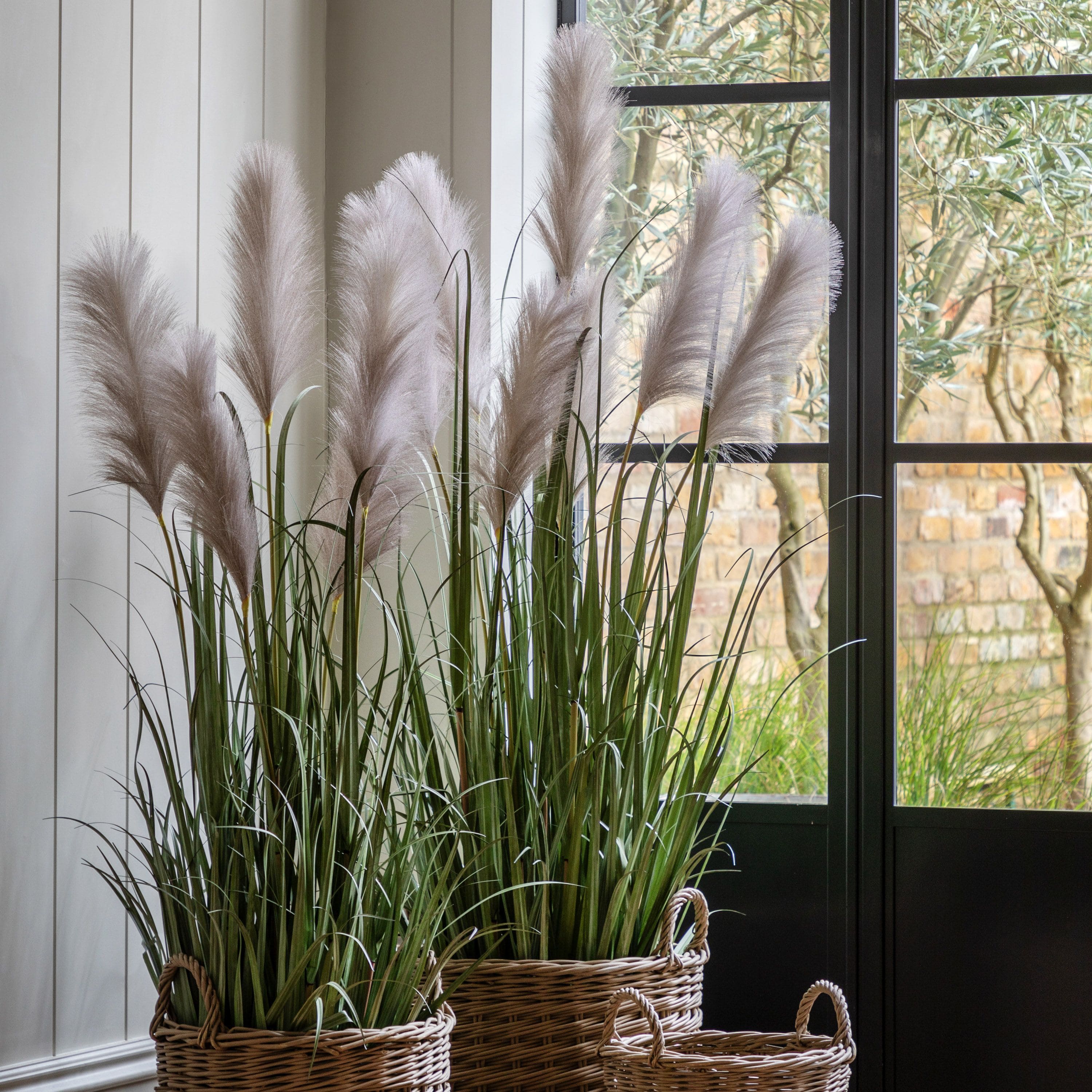 Potted Grass with Pampas Seed Heads 5pk Medium - Image 2