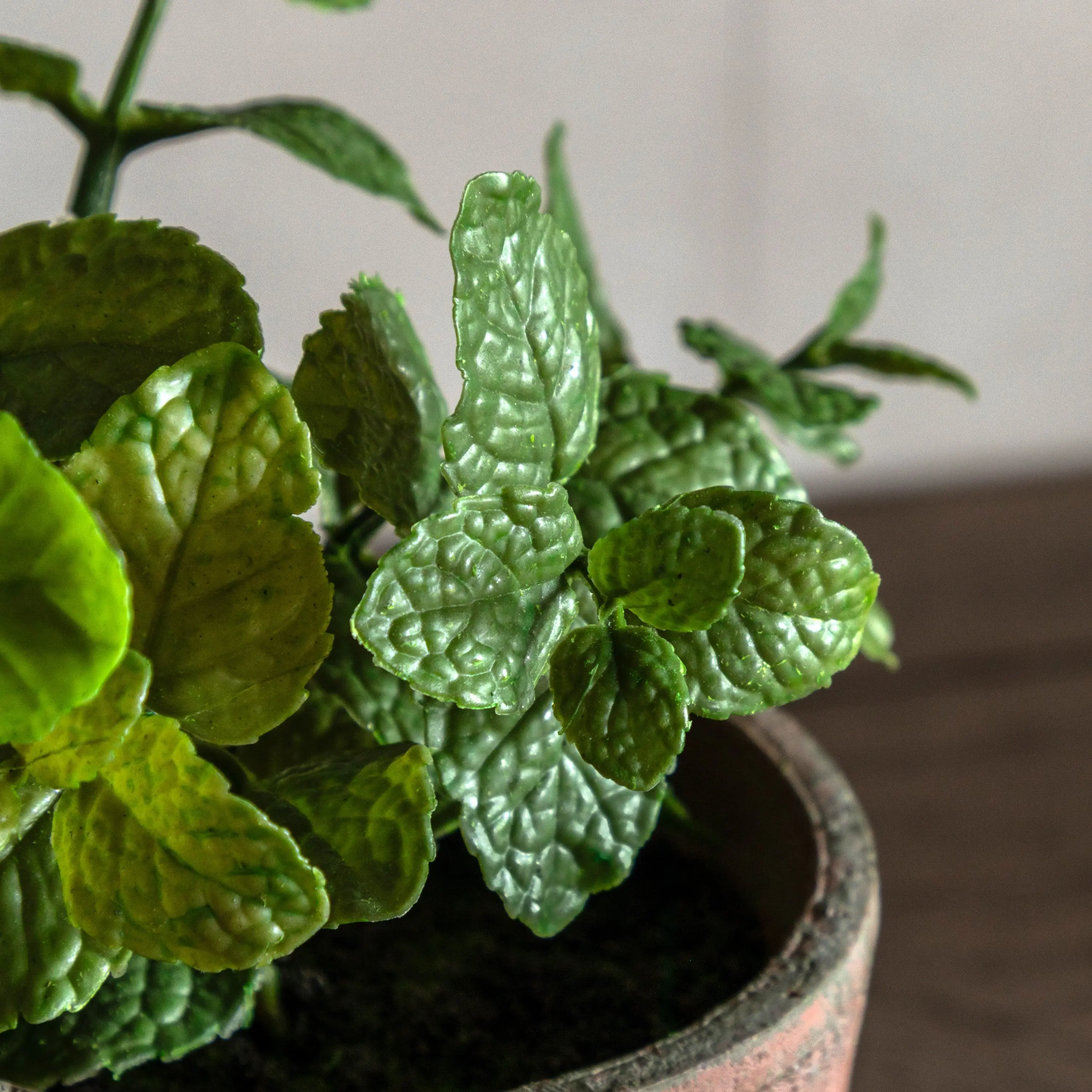 Potted Mint Terracotta - Image 4