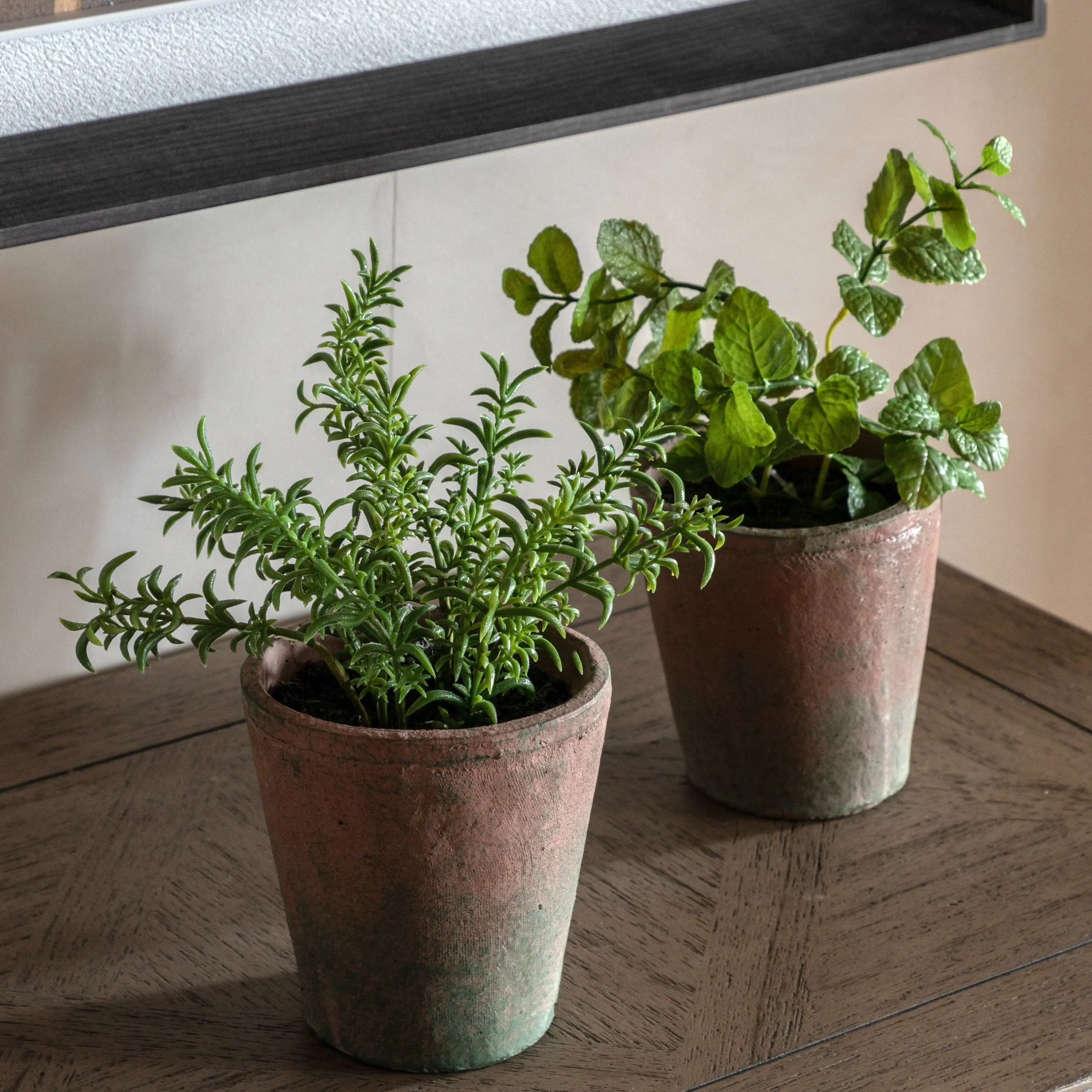 Potted Rosemary Terracotta - Image 5