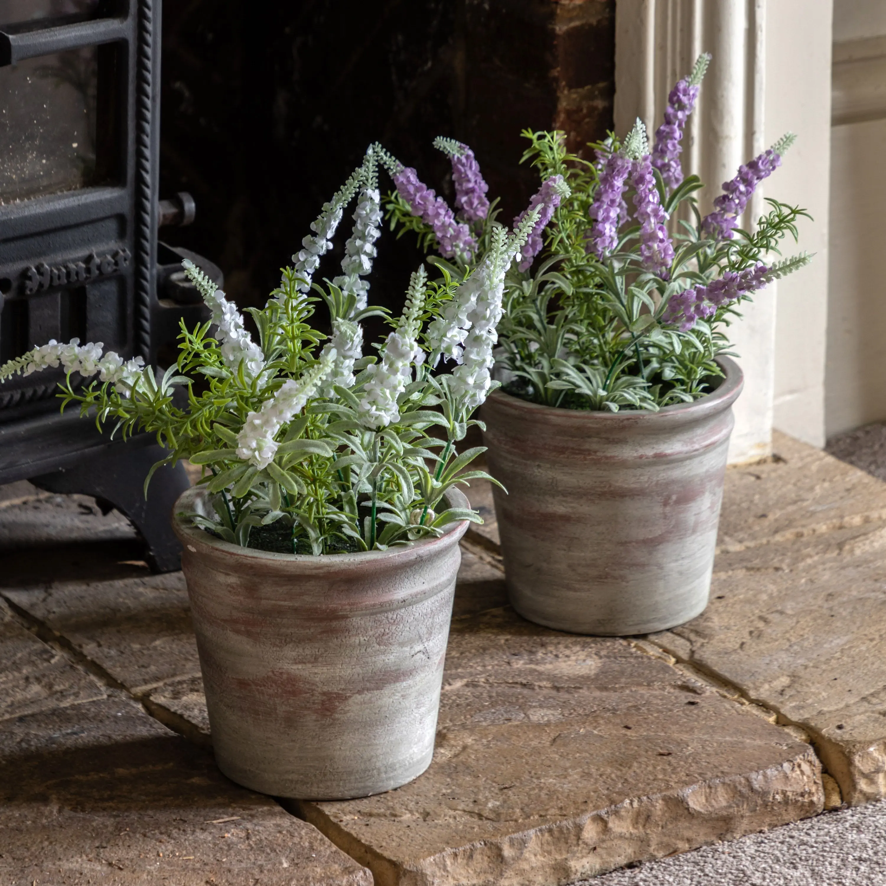 Potted Rustic Lilac Lavendar - Image 4