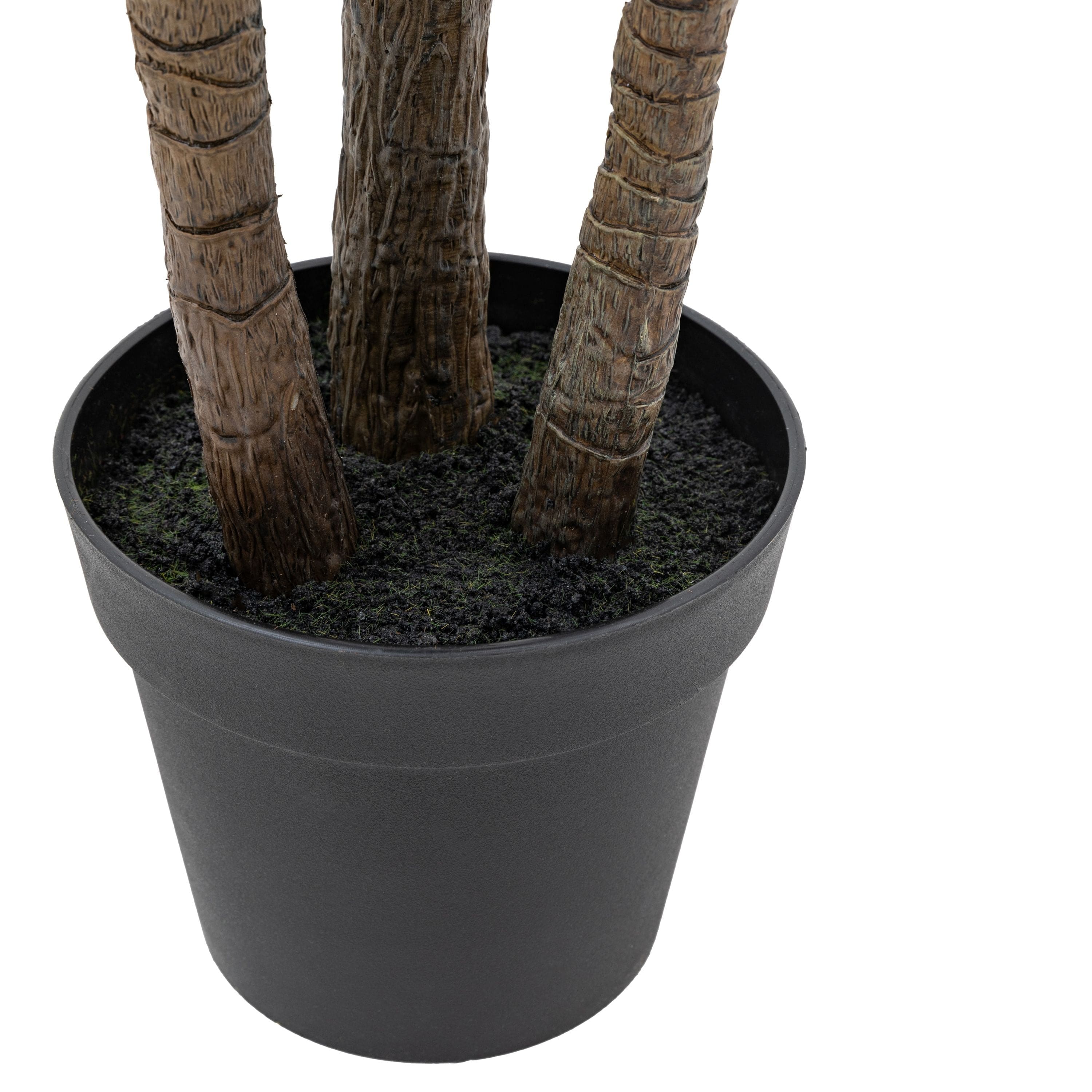 Potted Statement Palm Large - Image 6