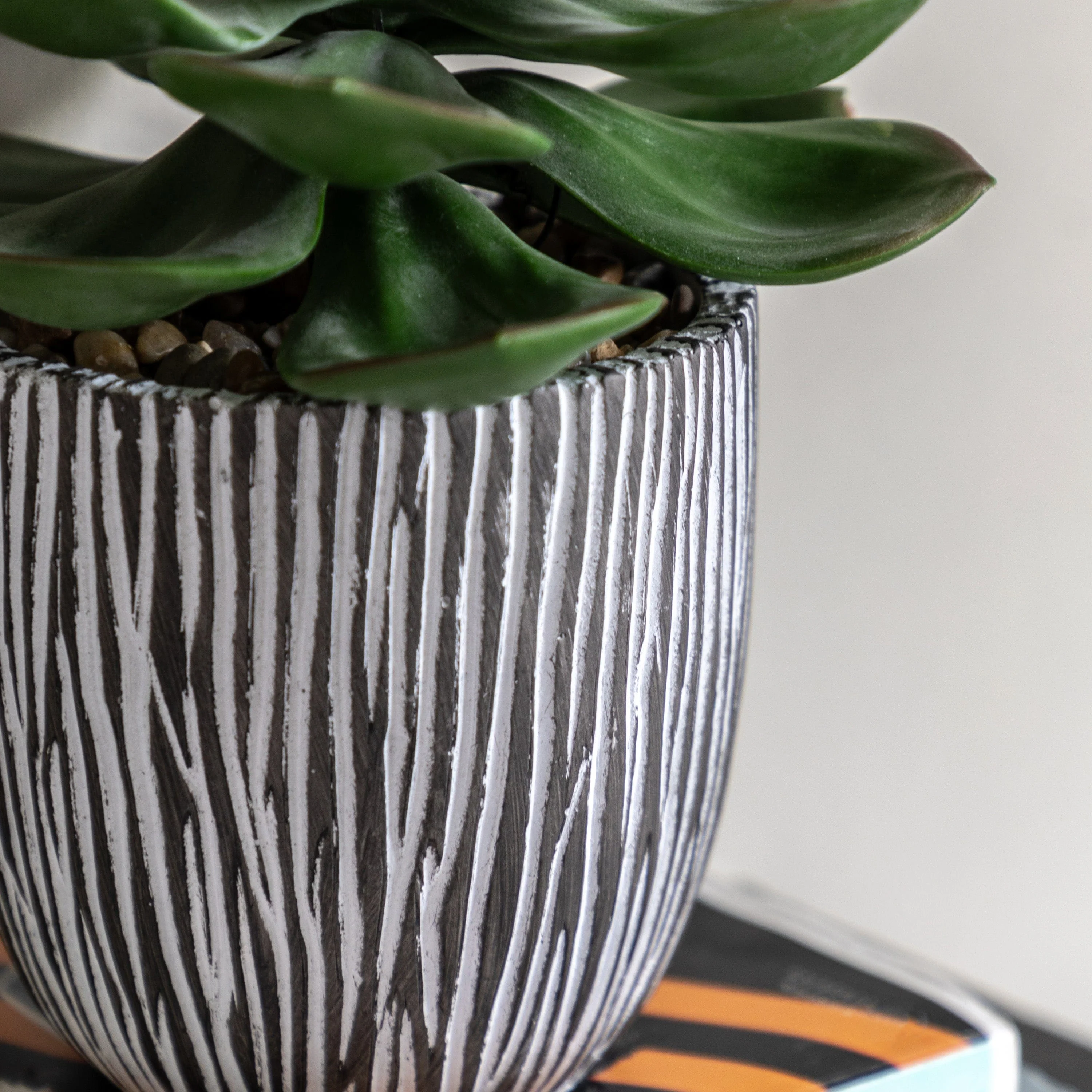 Potted Succulent in Ribbed Black Ceramic Pot - Image 3