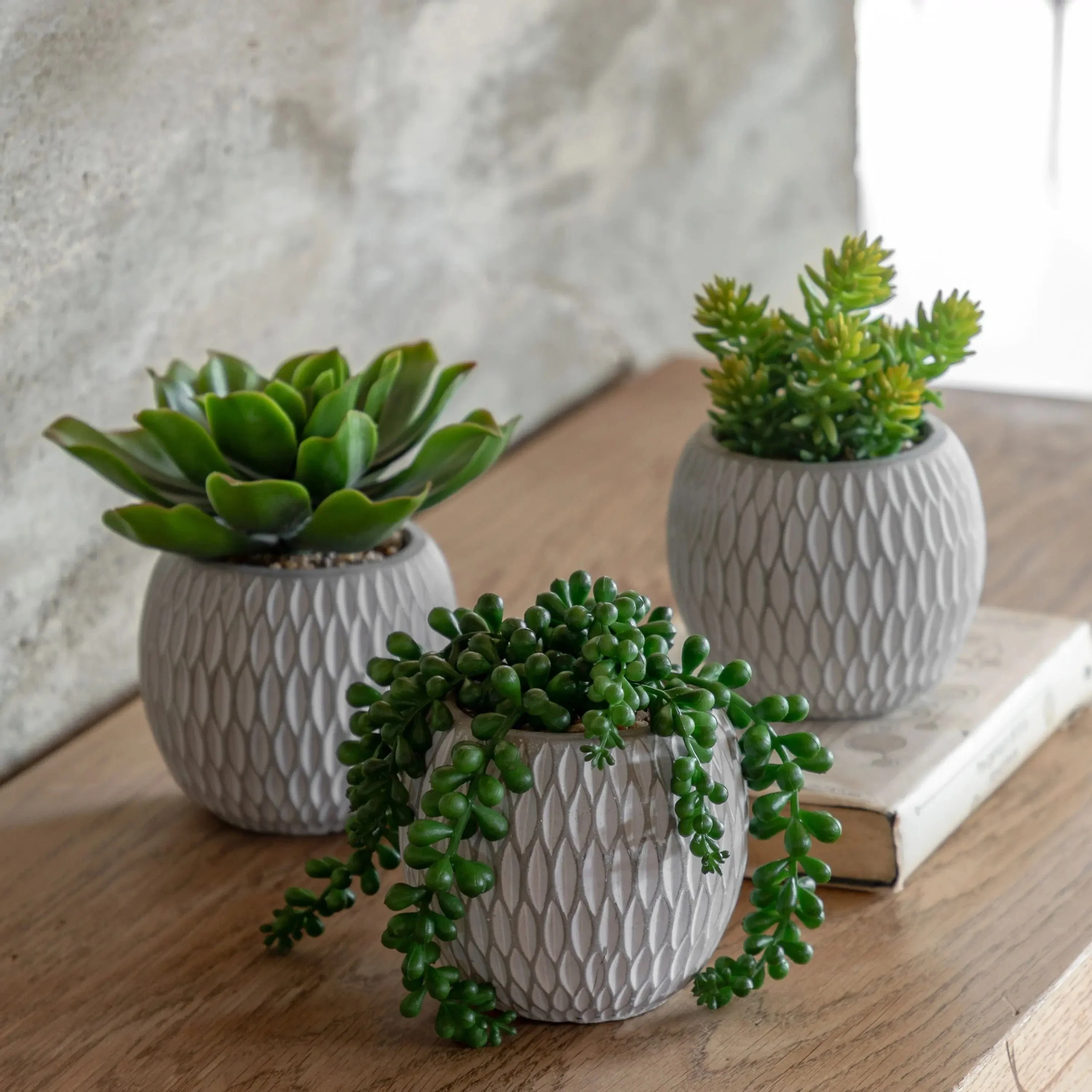 Small Succulents Ceramic Pots Set of 3