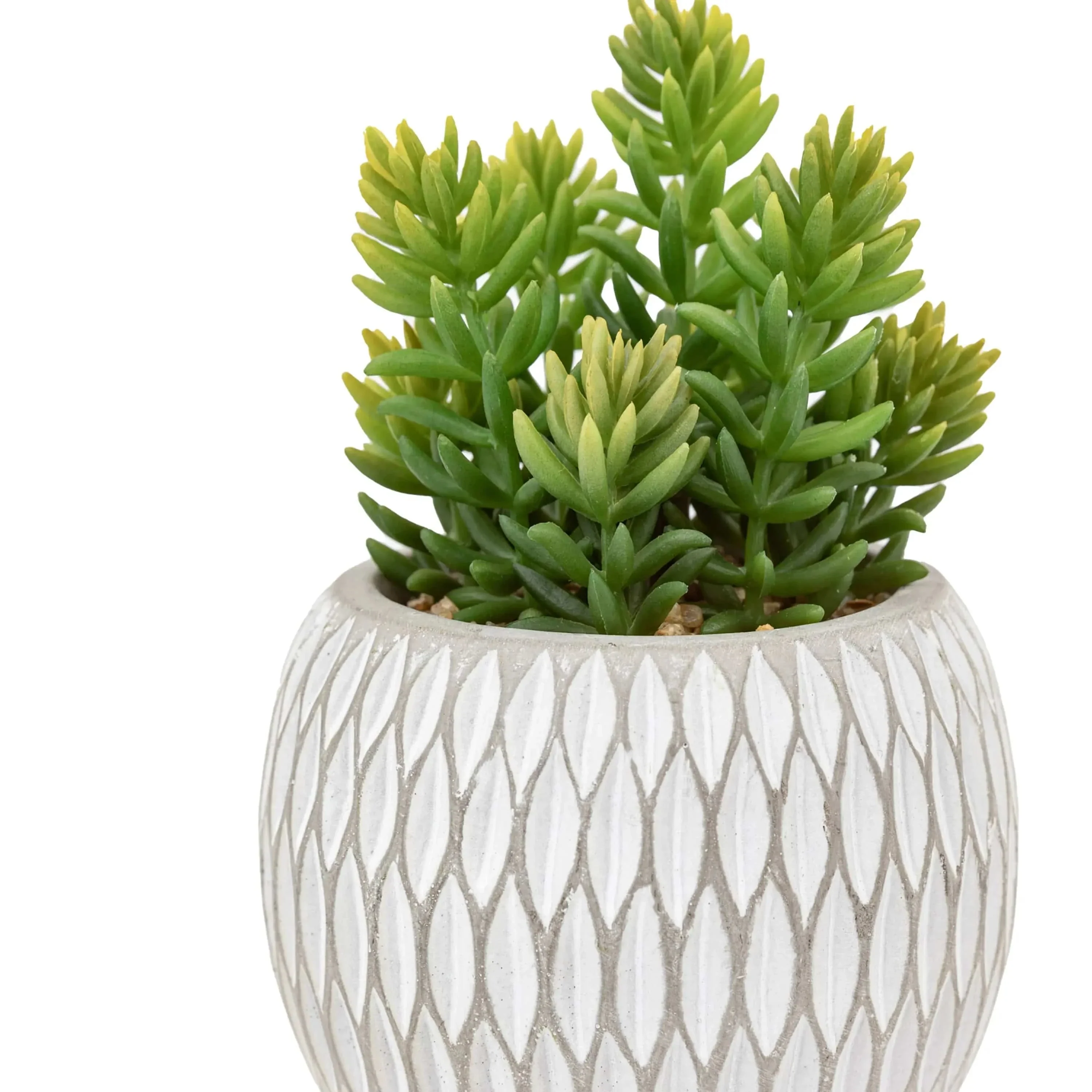 Small Succulents Ceramic Pots Set of 3 - Image 5
