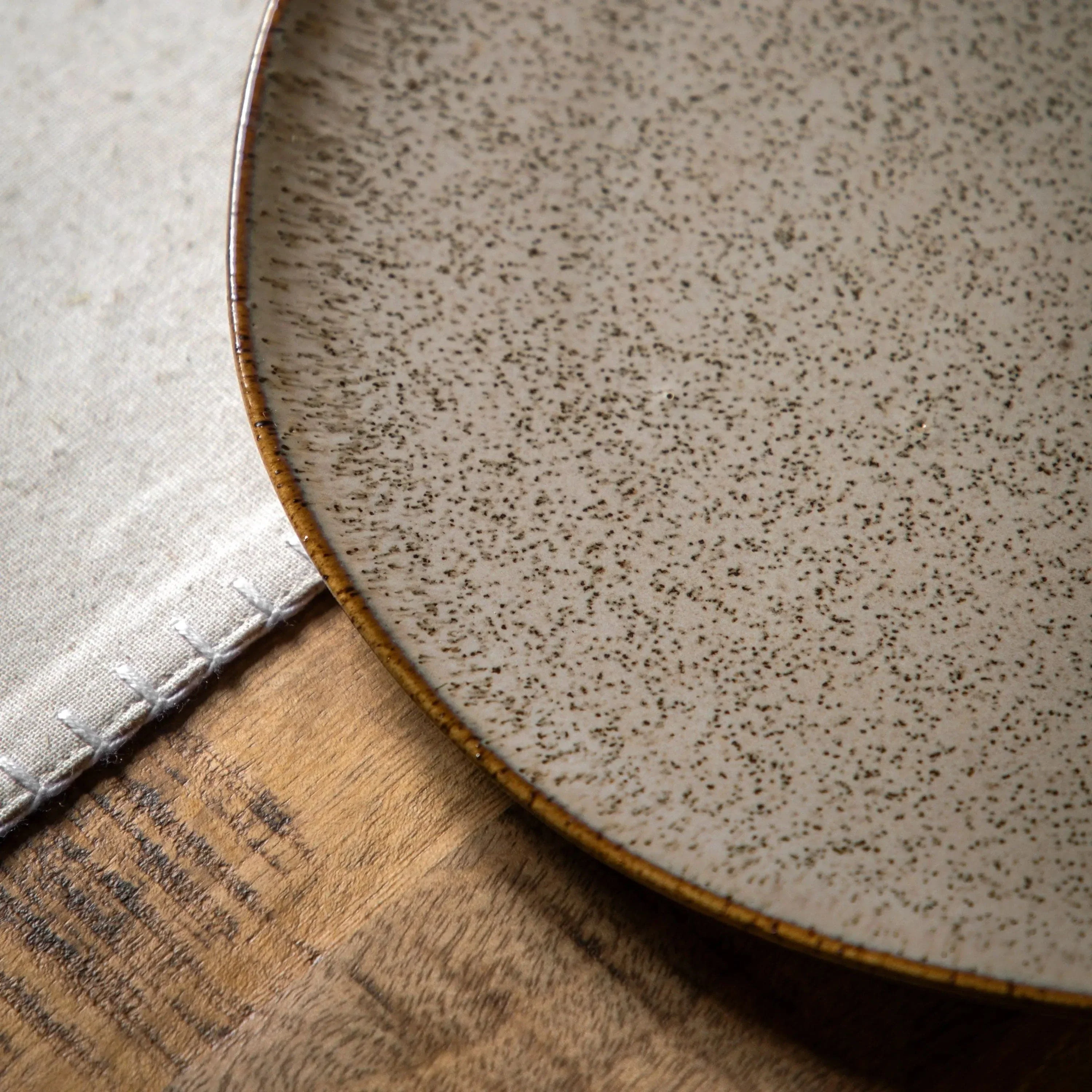 Speckle Glaze Dinner Plate Oatmeal 4pk - Image 3