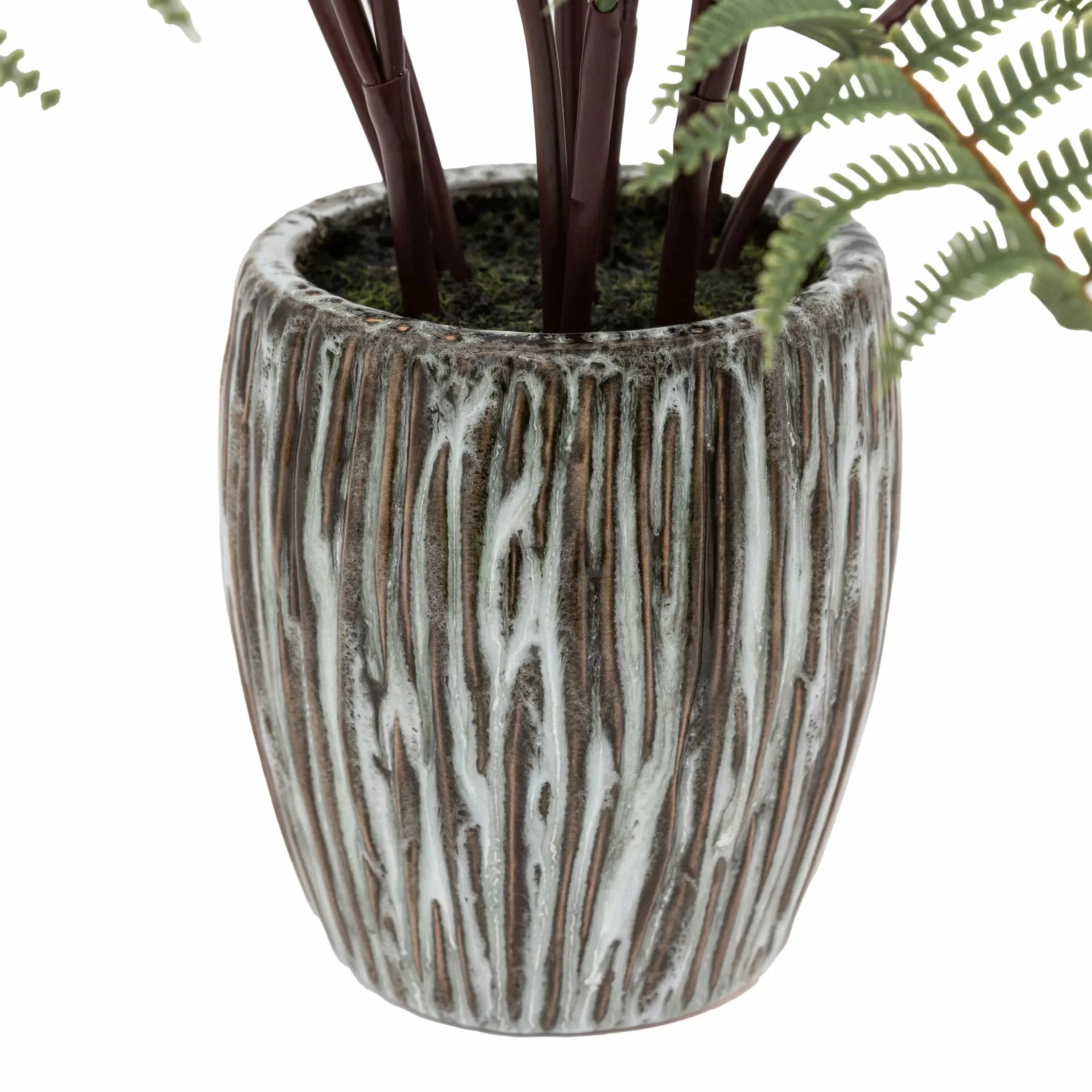 Tall Fern in Textured Grey Ceramic Pot - Image 3