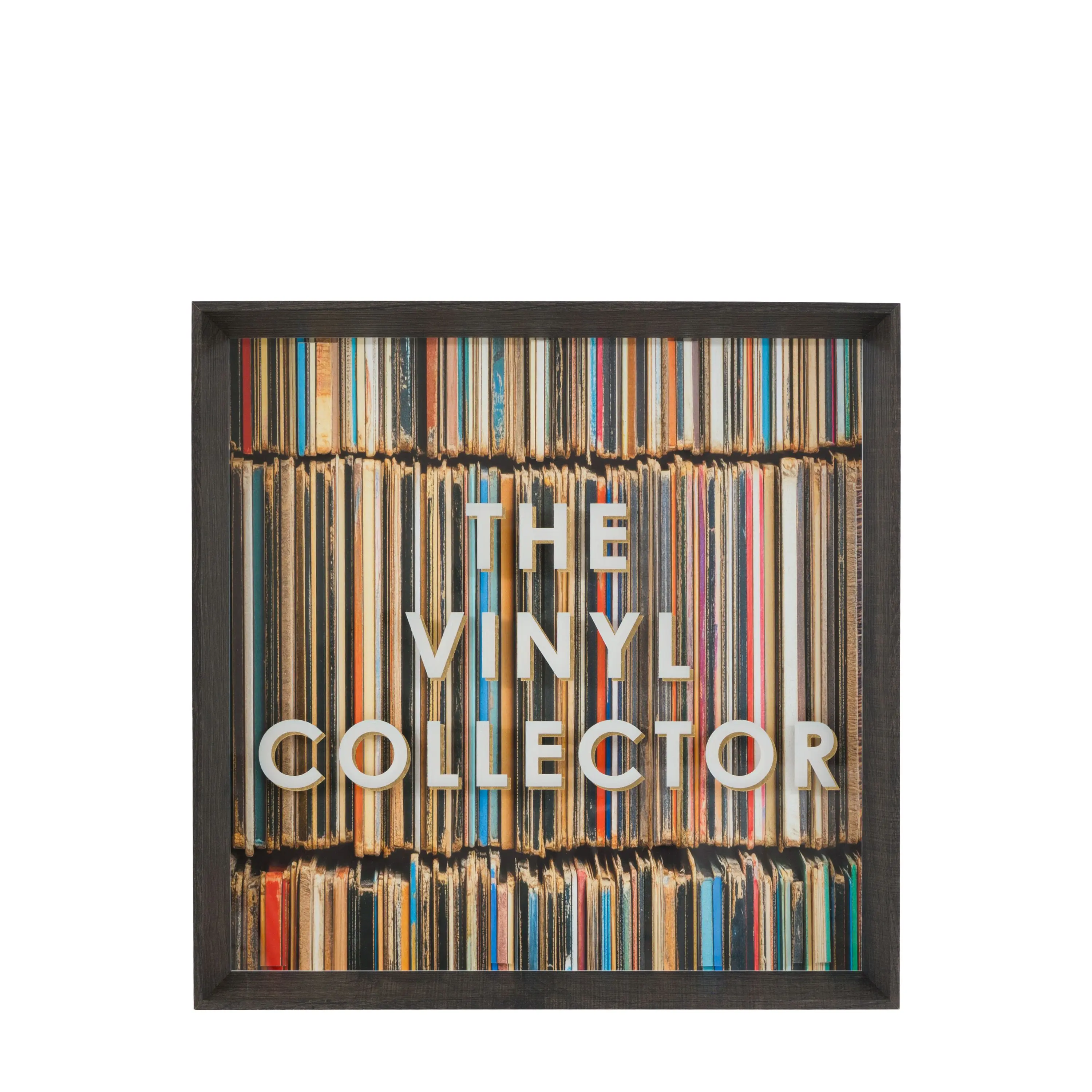 The Vinyl Collector Framed Art