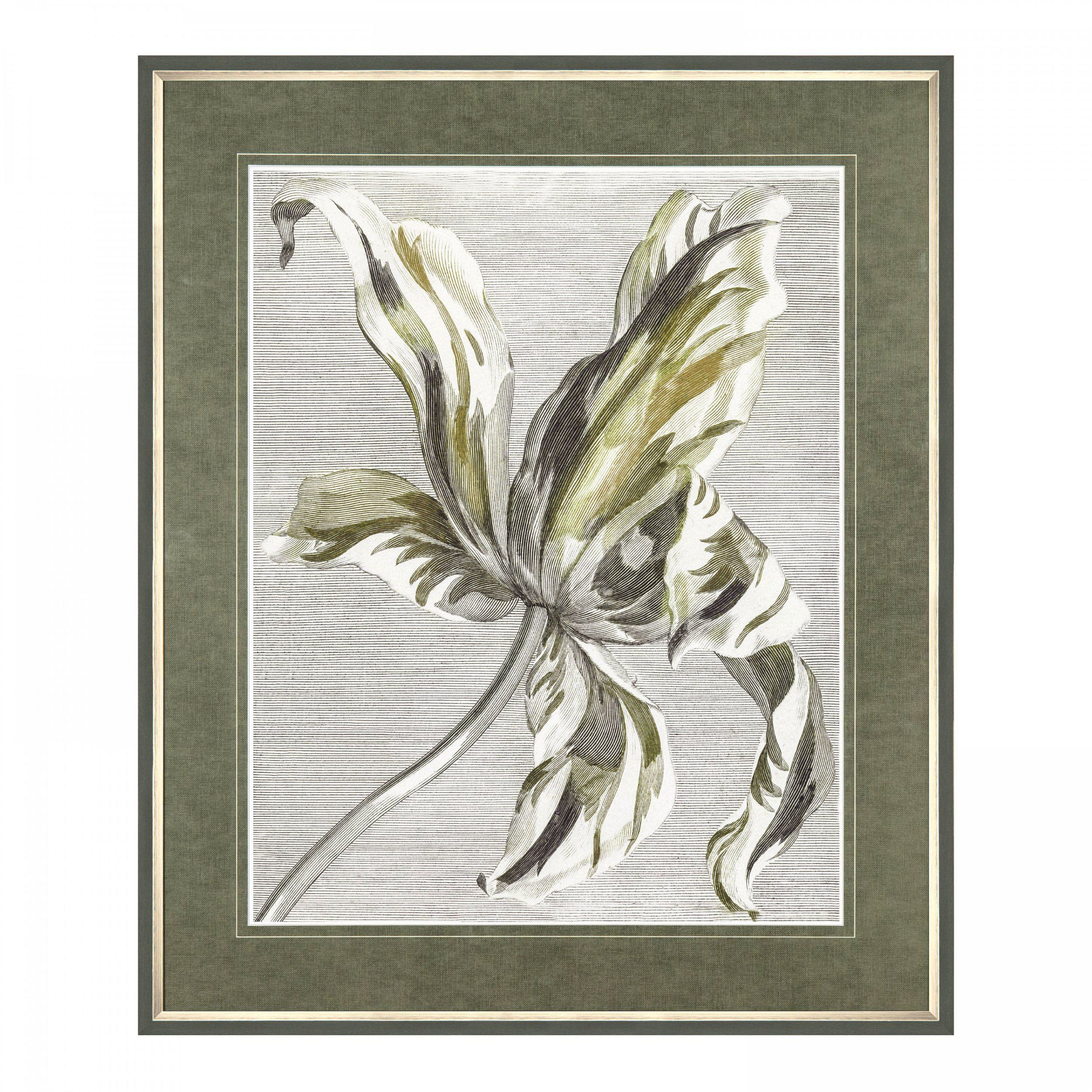 Tulip Bloom Framed Art - Image 2