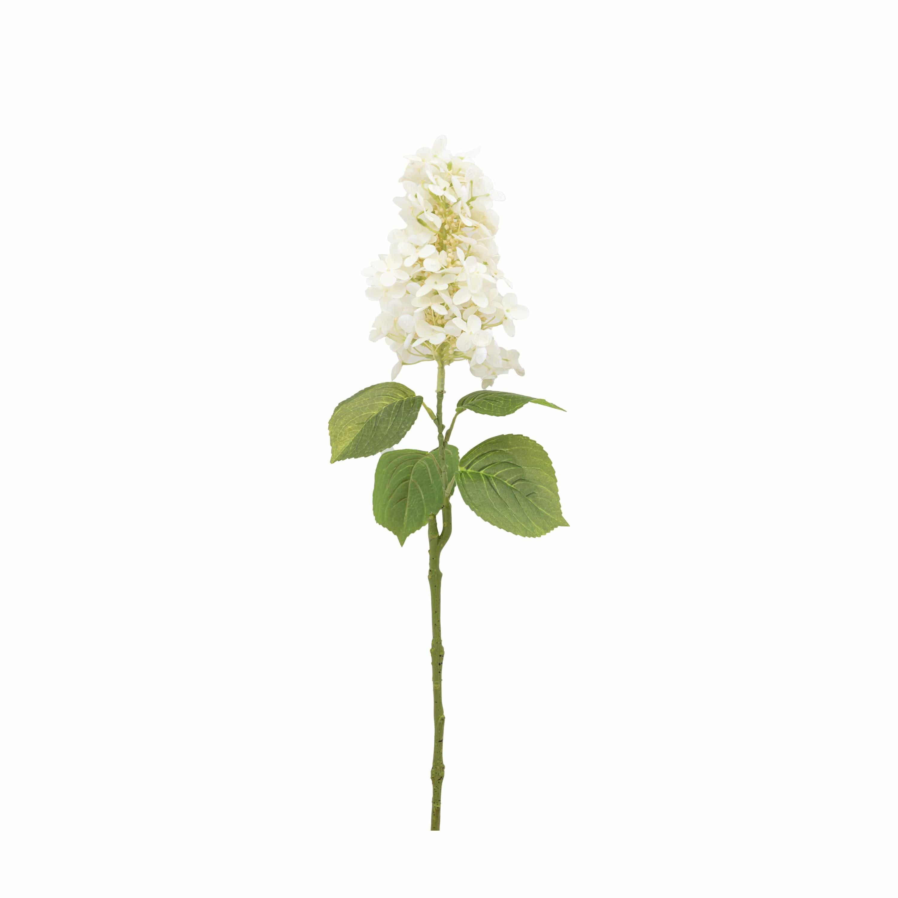 Vintage Cone Hydrangea Floral Stem Ivory 12pk - Image 2