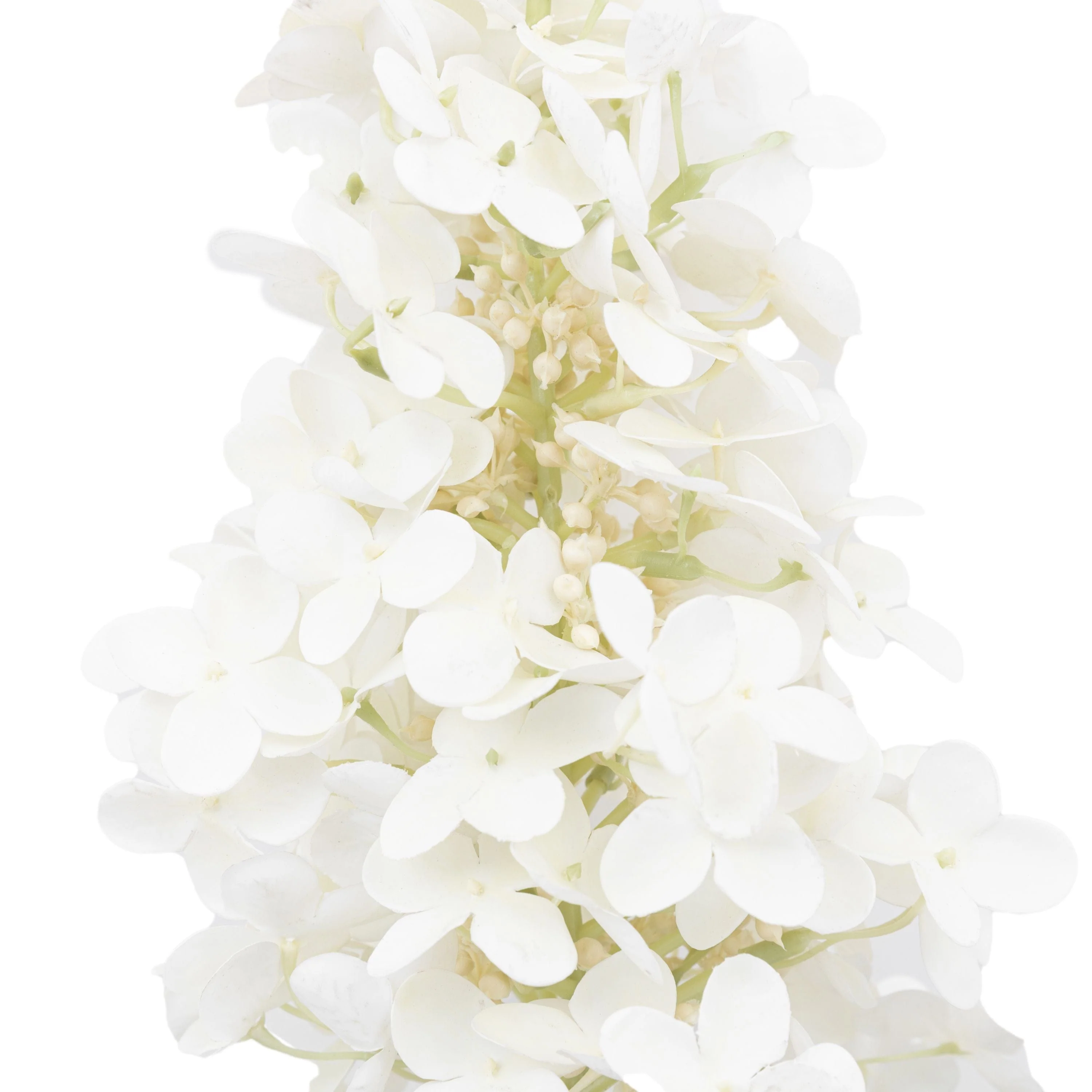 Vintage Cone Hydrangea Floral Stem Ivory 12pk - Image 4