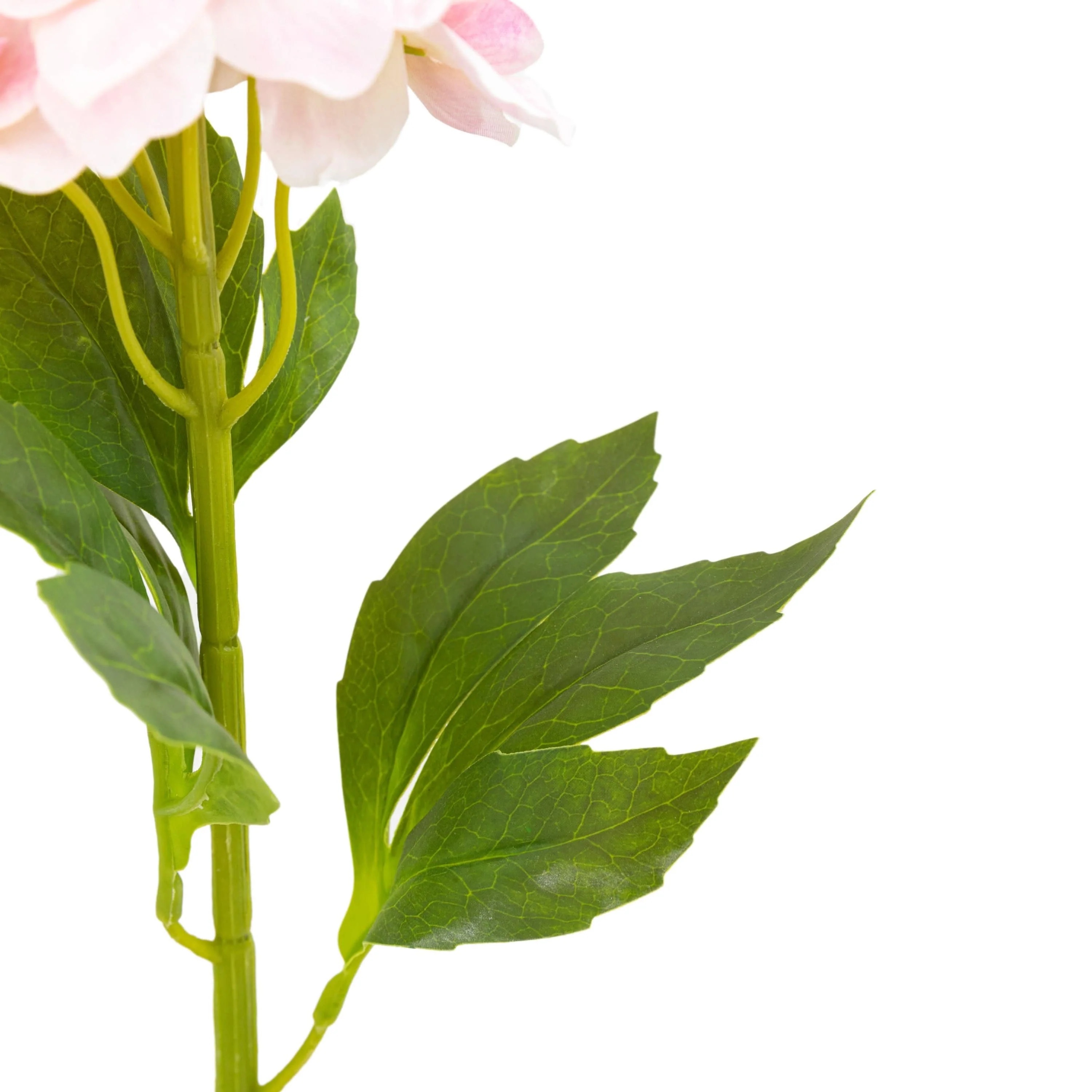 Vintage Hollyhock Floral Stem Tall Pink 12pk - Image 4