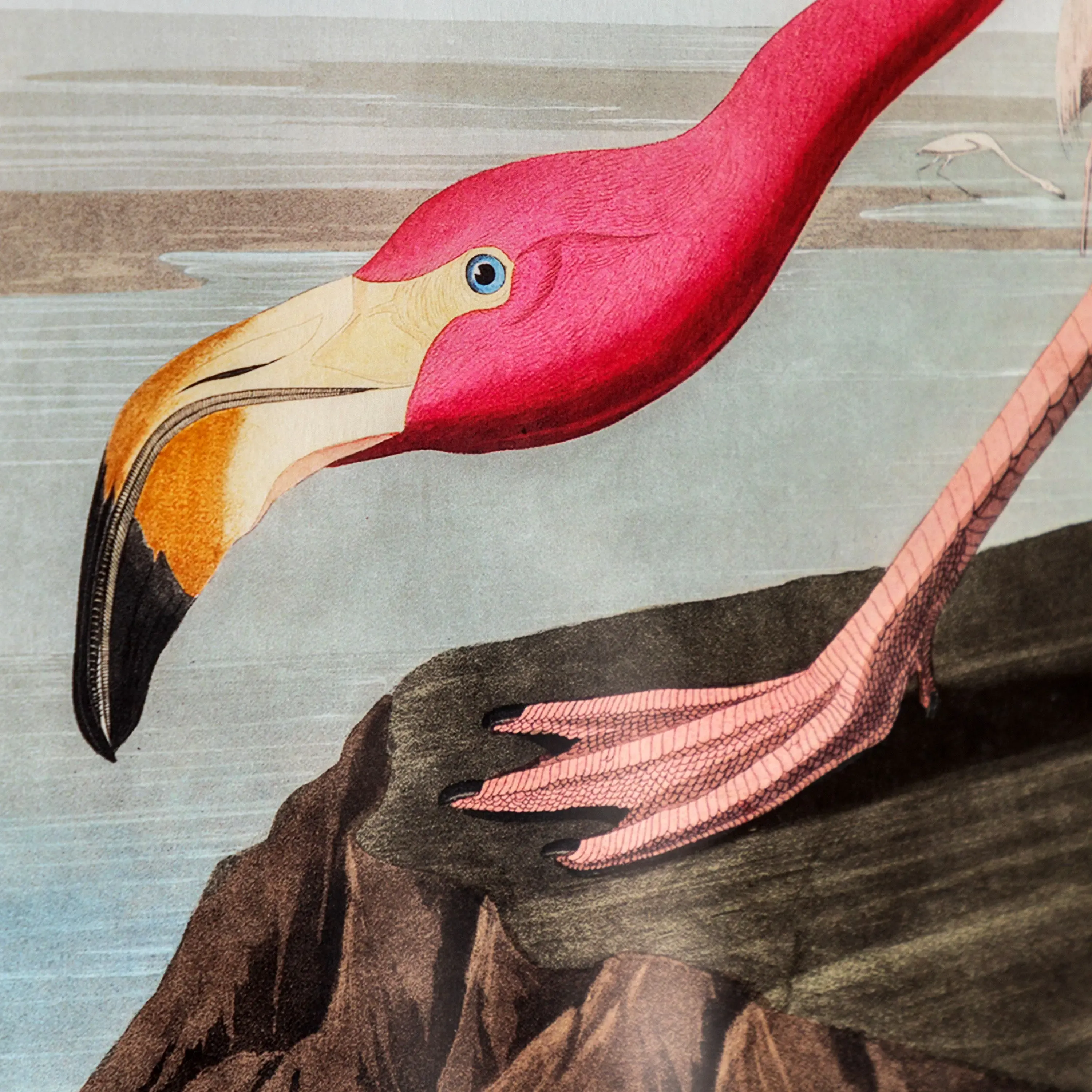 Wading Flamingo Framed Art - Image 4