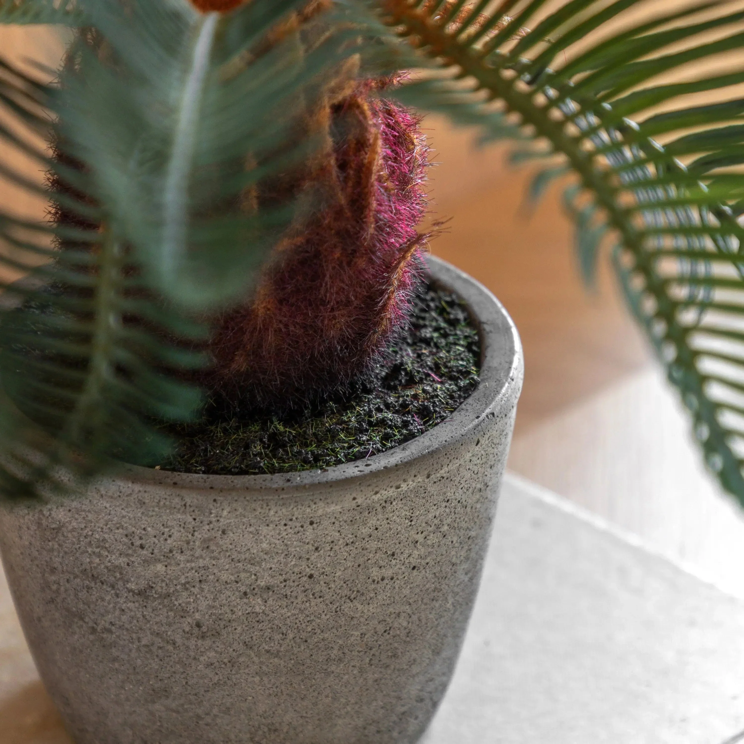 Wide Palm in Concrete Pot - Image 3