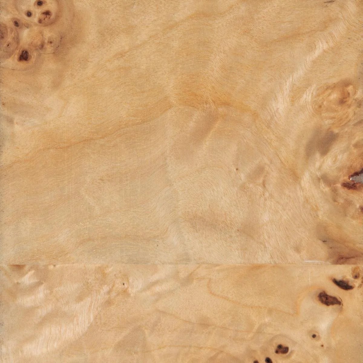 Caracole Burlesque Coffee Table - Image 5