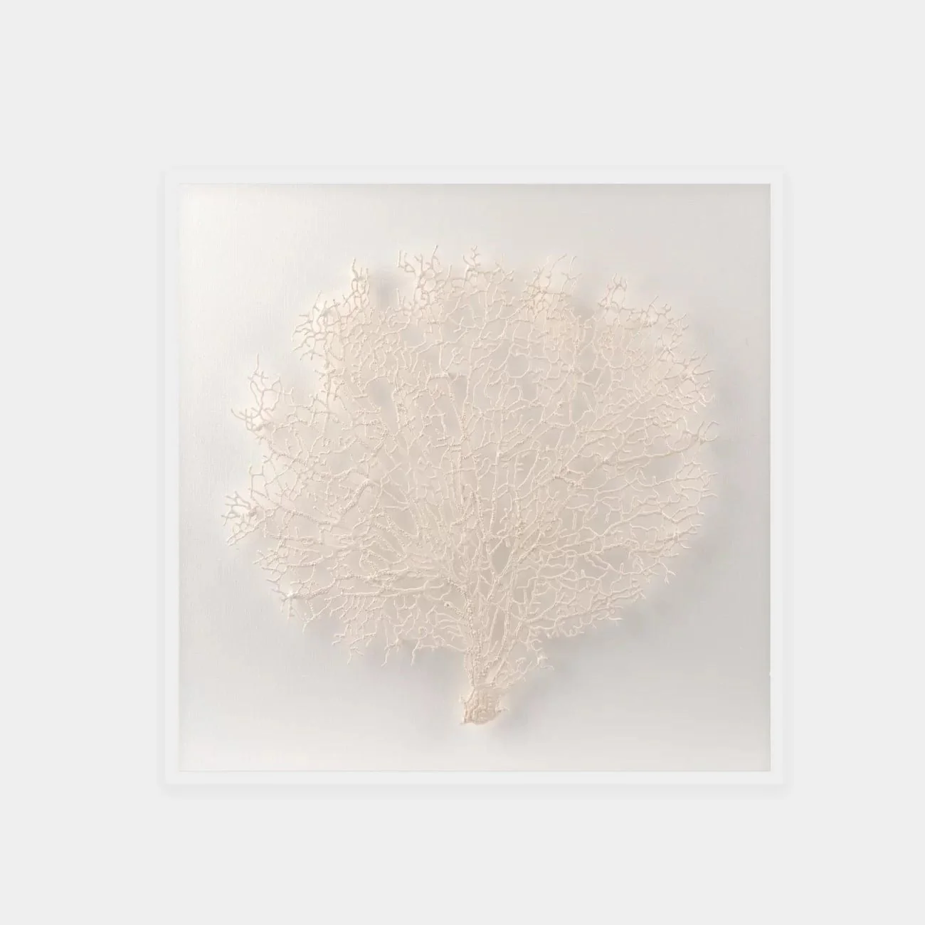 Abstract White Coral Wall Art 7