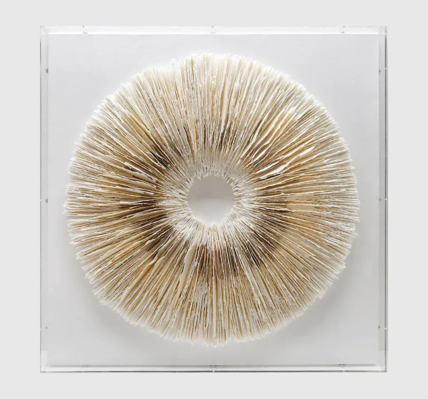 Circle of Stillness Handmade Dimensional Paper Wall Sculpture