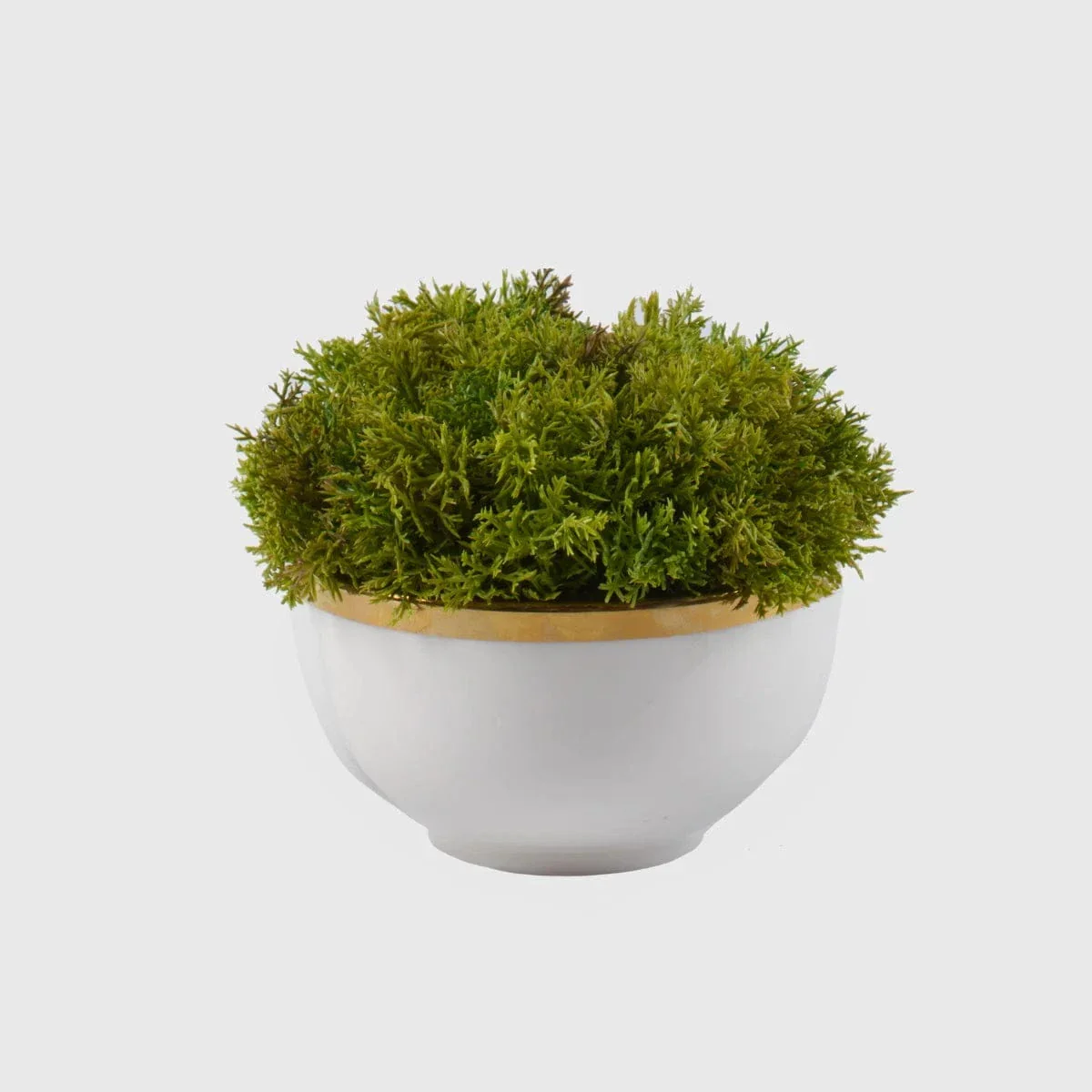 White Ceramic Bowl with Moss
