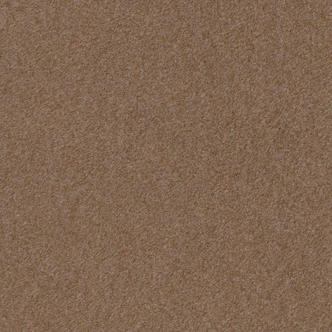 Dining Chair Costa with shelf - Image 9