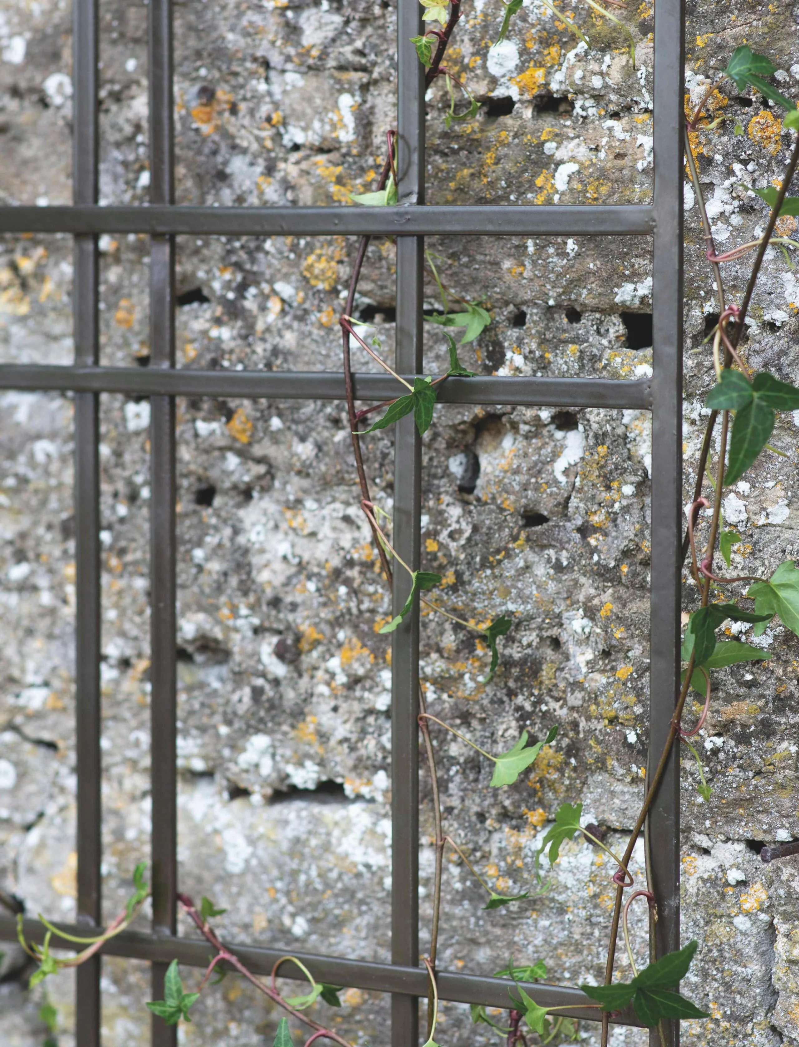 Charlbury Floor Trellis - Image 2