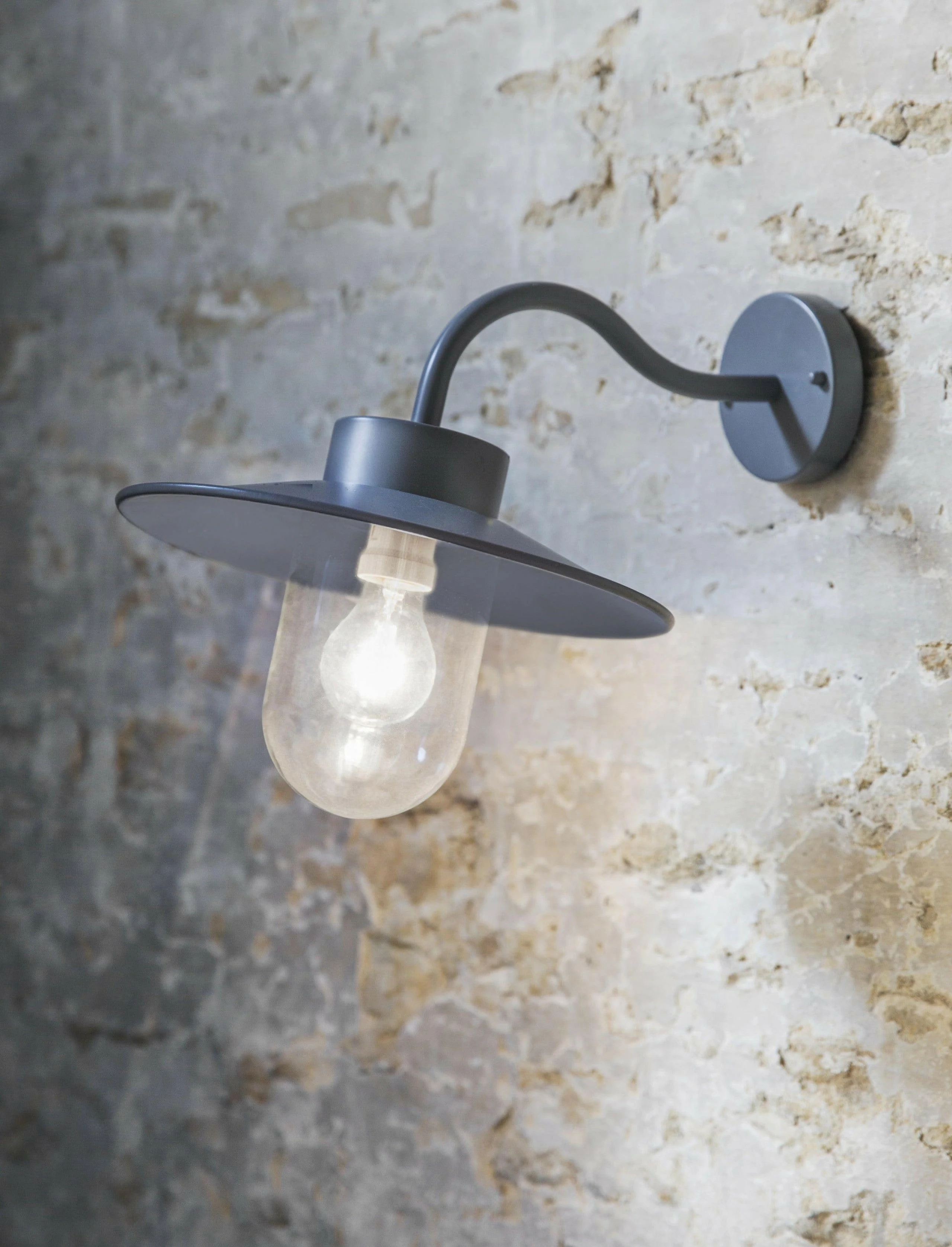 Swan Neck Light - Charcoal