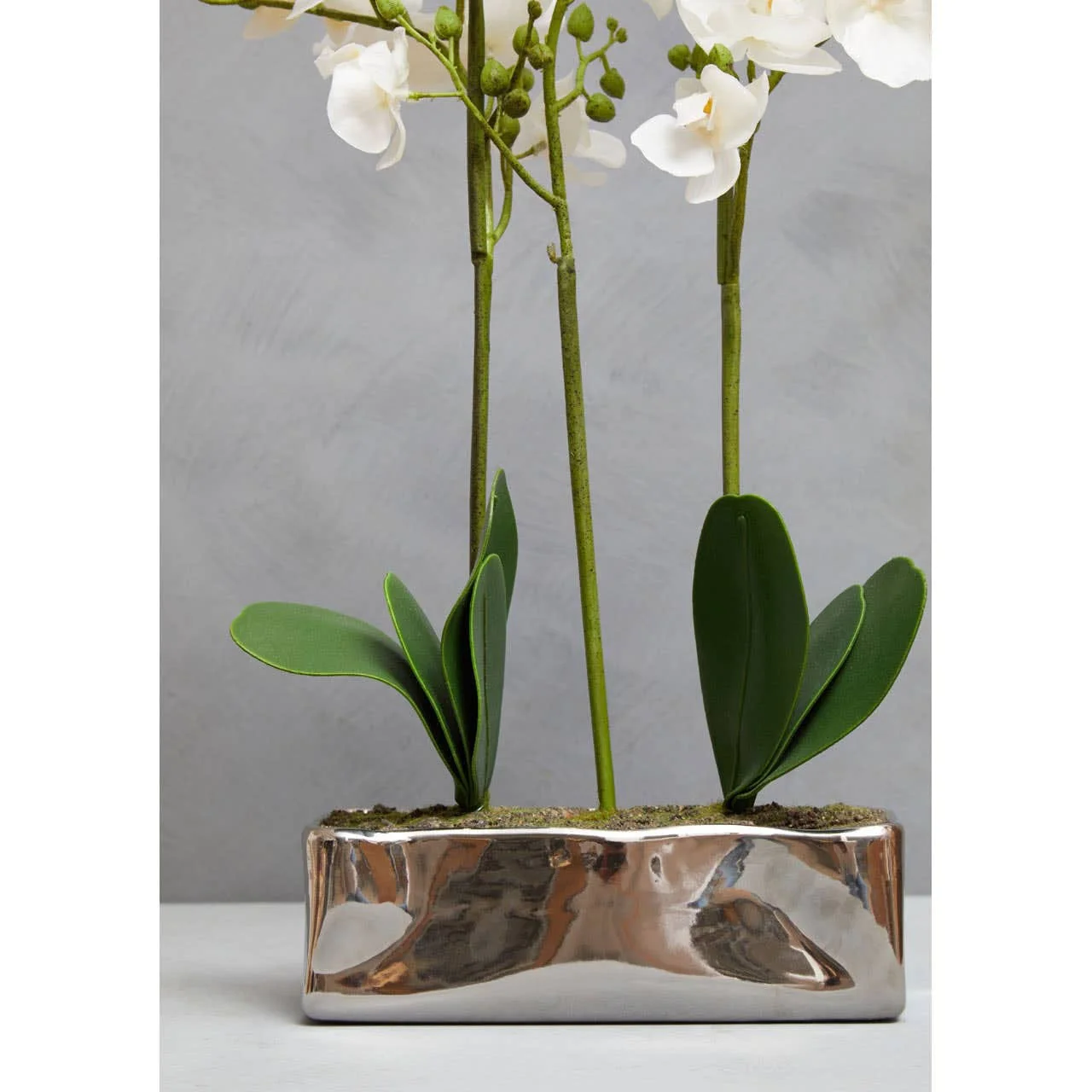 Fiori White Orchid Plant in Rectangular Pot - Image 8