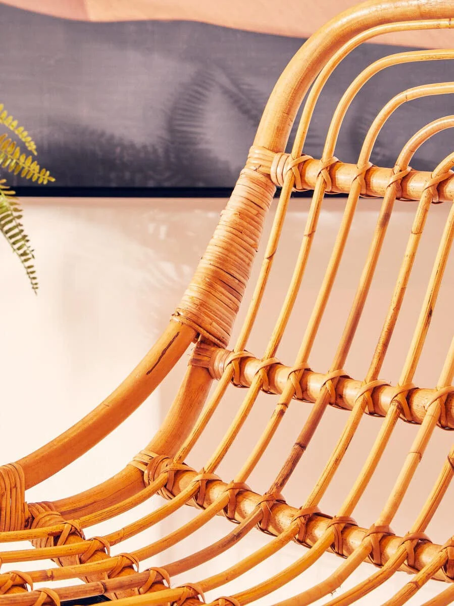 Java Tiger Chair - Image 3
