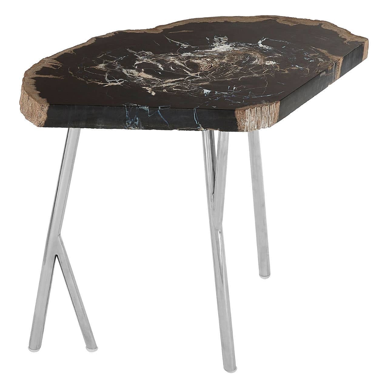 Relic Dark Petrified Wood Coffee Table - Image 2