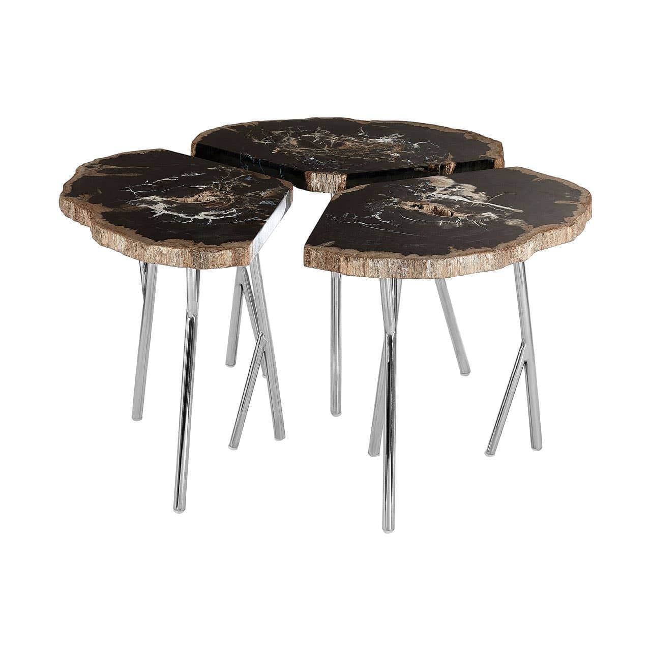 Relic Dark Petrified Wood Coffee Table - Image 3