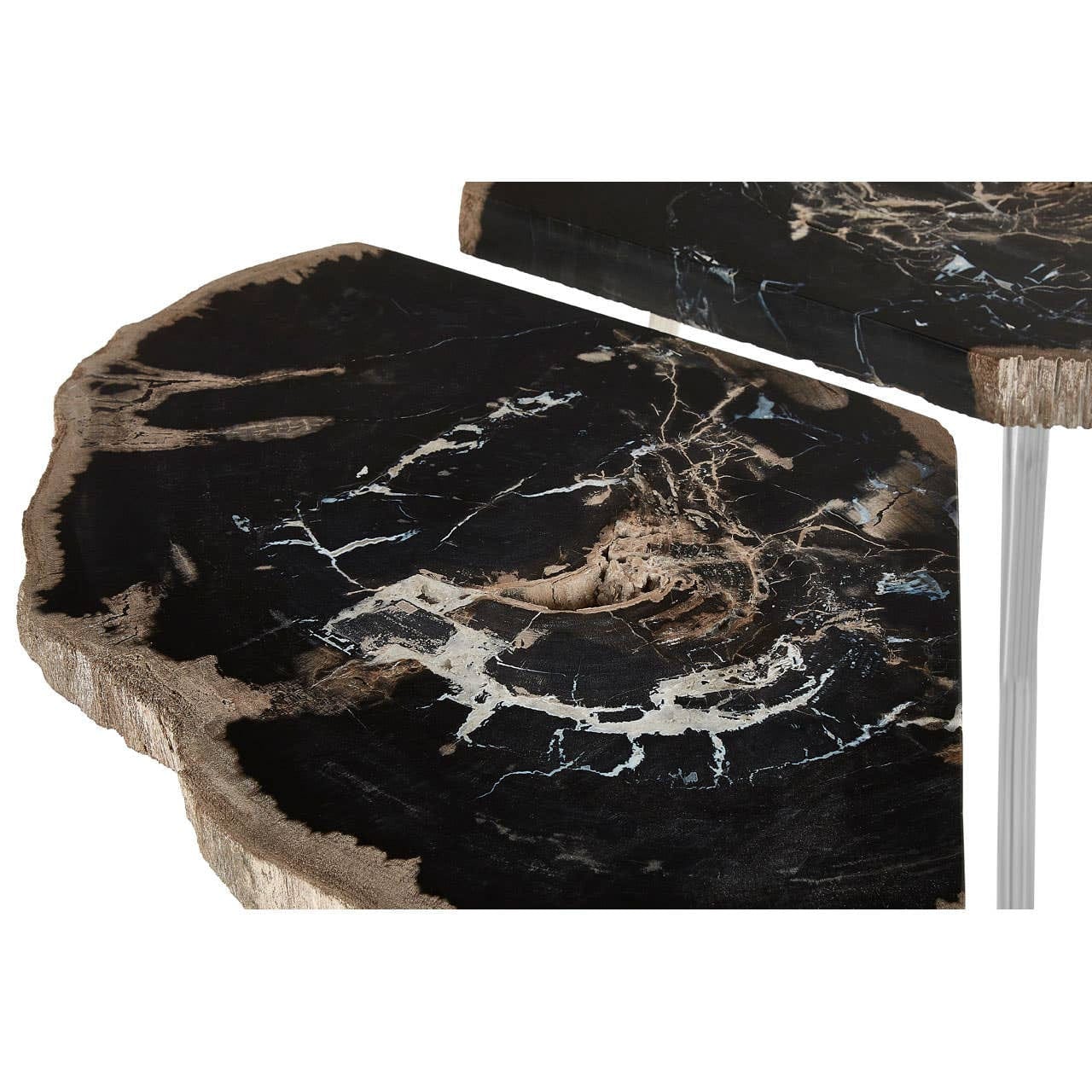 Relic Dark Petrified Wood Coffee Table - Image 6