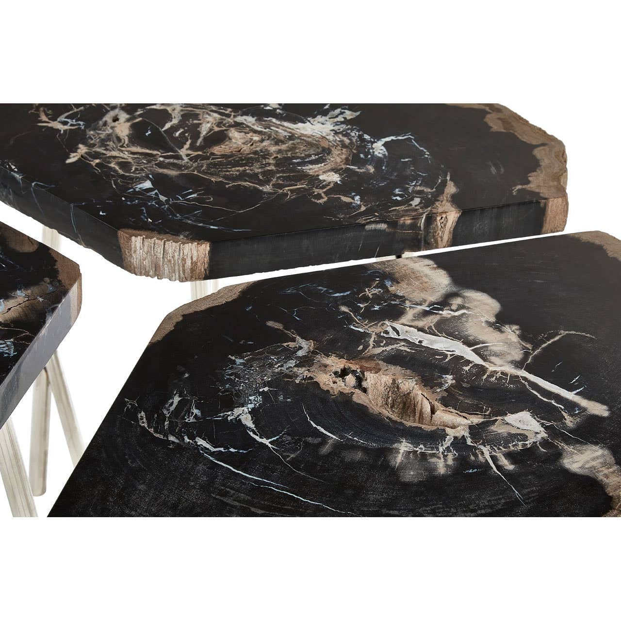Relic Dark Petrified Wood Coffee Table - Image 7
