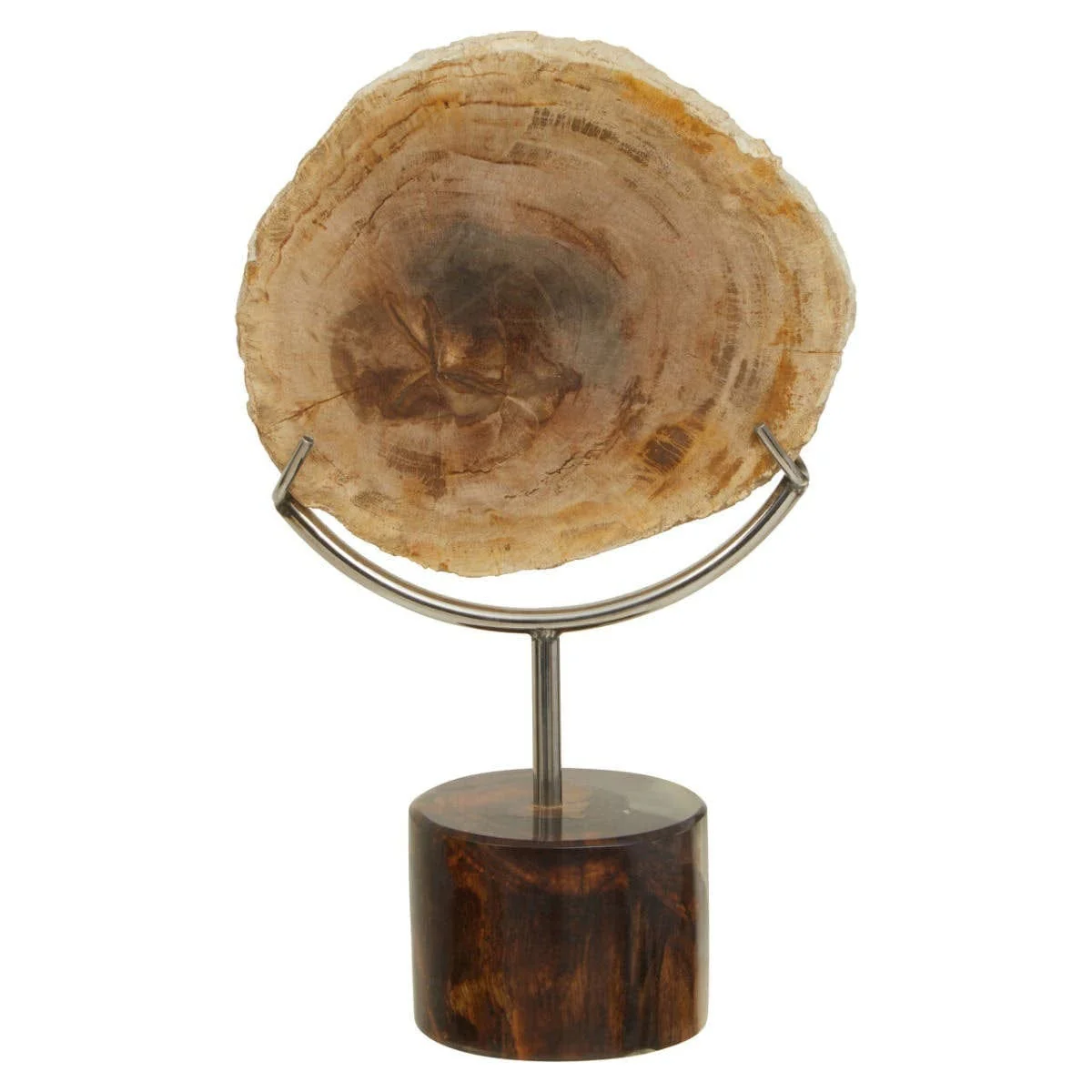 Relic Petrified Wood Sculpture